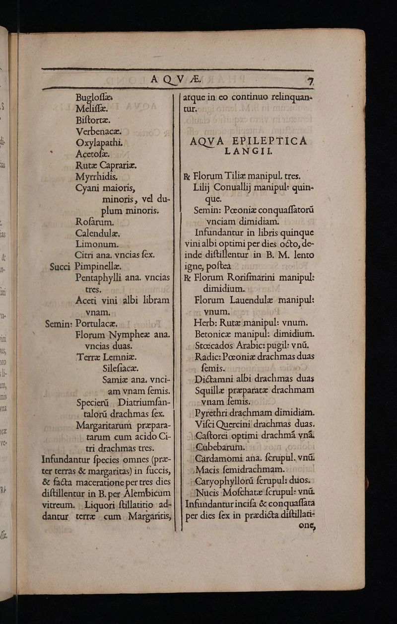 cb P M Buglofz Meliffz. Biftortz. Verbenaca. Oxylapathi. Acetola. Rutz Capraria. Myrrhidis, Cyani maioris, minoris, vel du- plum minoris. Rofàrum. Calendulz. Limonum. Citri ana. vncias fex. Succi Pimpinella. Pentaphylli ana. vncias tres. Aceti vini albi libram vnam. Semin: Portulacz. | Florum Nymphez ana. vncias duas. Terrz Lemniaz. Silefiaca. Samia ana. vnci- am vnam íemis. Specierü Diatriumfan- talorü drachmas fex. Margaritarum przpara- -. tatum cum acido Ci- tri drachmas tres. Infundantur fpecies omnes (pr- ter terras &amp; margaritas) in fuccis, &amp; facta maceratione per tres dies diftillentur in B. per Alembicum vitreum. : Liquori flillatitio: ad- dantur terrz cum Margaritis, atque in eo continuo rclinquan- tür. AQVA EPILEPTICA LANGII. &amp; Florum Tiliz manipul. tres. | Lilij Conuallij manipul: quin- que. Semin: Poeoniz conquaffatorü vnciam dimidiam. Infundantur in libris quinque vinialbi optimi per dies octo, de- inde diftillentur in B. M. lento igne, poftea R Florum Rorifinarini manipul: dimidium. Florum Lauendulz manipul: ; vnum. 4 Herb: Rutz manipul: vnum. Betonicz manipul: dimidium. Staecados Arabic: pugil: v nü. Radic: Poconiz drachmas duas Ícmis. | | Dictamni albi drachmas duas Squillz lecce drachmam vnam 1emis. Pyrethri drachmam dimidiam. Vifci Quercini drachmas duas. !/Gaftorei optimi drachmá vná . i Qübebarim; ia | |. ';Cárdamomi ana. fcrupul. vná. ; Macis femidrachmam.: | Caryophyllorü Ícrupul: duos. ;JNucis :Mofchatz fcrupul: vná. Infundantur incifa &amp; conquaffata per dies fex in praedicta diftillati- eus
