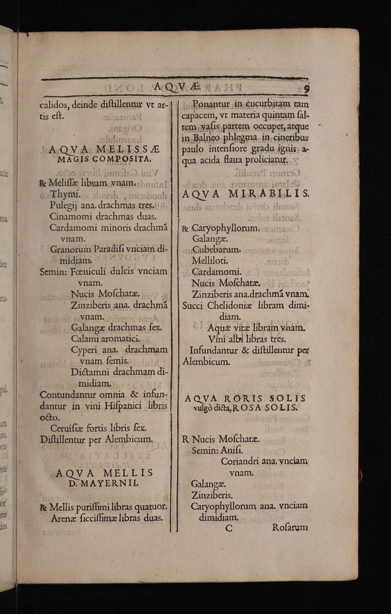 —————————————— tis eft. EP] WT E fer AQ VA: MS&amp;ELILS S E &amp; Meéliffe libram. vnam... (5. T hytnai. ib ^. micsbonub Pulegij ana. drachmas tres. Cinamomi drachmas duas. vnam. Granorum Paradifi vnciam di- midiamx ^ wr vnam. Nucis Mofchatz. : ; Zinziberis ana. drachmá 4vnam. TANI Galangz drachmas fex. Calami aromatici. Cyperi ana. -drachmam vnam femis. Dictamni drachmam di- midiarm. RN Contundantur omnia &amp; infun- octo. Ceruifiz fortis libris fex. Diftillentur per Alembicum. .AQVA MELLIS D. MAYERNIL i Mcellis puriffimi libras quatuor. Arena ficciffima libras duas. |. Ponantur in. €ucurbitam tam tem, vafis partem occupet, atque in;Balneo phlegma. in.cinetibus paulo intenfiore gradu ignis; a- AQVA MIRABLLIS Galangz. 4iCubebarum. Melliloti. Nucis Mofchatz. Zinziberis ana.drachmà vnam. Succi Chelidonie libram dimi- | — diam. Lodi Aqu&amp; vitz libram vnam. Vini albi libras tres. Infundantur &amp; diftillentur per Alembicum. | 1 AQVA RORIS SOLIS R Nucis Mofchatz. Semin: Ánifi. Coriandri ana, vnciam vnam. Galangz. Zinziberis. Caryophyllorum ana. vnciam dimidiam. C Rofarum