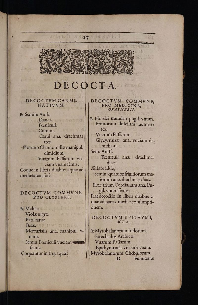 NATIVVM. K Semin: Ánifi. Dauci. Foeniculi. Cumini. Carui ana. drachmas tres. -Florum: Chamomille manipul. dimidium. Vuarum Paffarum vn- ! ciam vnam femis. Coque in libris duabus aqua ad medietatem fere. DECOCTVM COMMVNE PRO CLYSTERE. R&amp; Malux. Viole nigra. Parictaria. Beta. Mercurialis ana. manipul. v- num. Semin: Fceniculi vnciam spssseate femis. | Coquantur in Í. q. aqua. DECOCTVM. COMMVNE; PRO MEDICINA, GFAYTNERII, R&amp; Hordei mundati pugil. vnum. Prunornm dulcium numero fex. Vuarum Paffarum. Glycyrrhize ana. vnciam di- midiam. : Sem: Anifi. Feeniculi ana. duas. JEftateadde, Semin: quatuor frigidorum ma- iorum anàa. drachmas duas. Flor: trium Cordialium ana. Pu- .gilvnumfemis. . Fiat decoctio in libris duabus a- quz ad partis media confumpti- onem. drachmas DECOCTVM EPITHYMI, AM E $. Steechados Arabica. Vuarum Paffarum. Epithymi ana. vnciam vnam. D Fumiterra