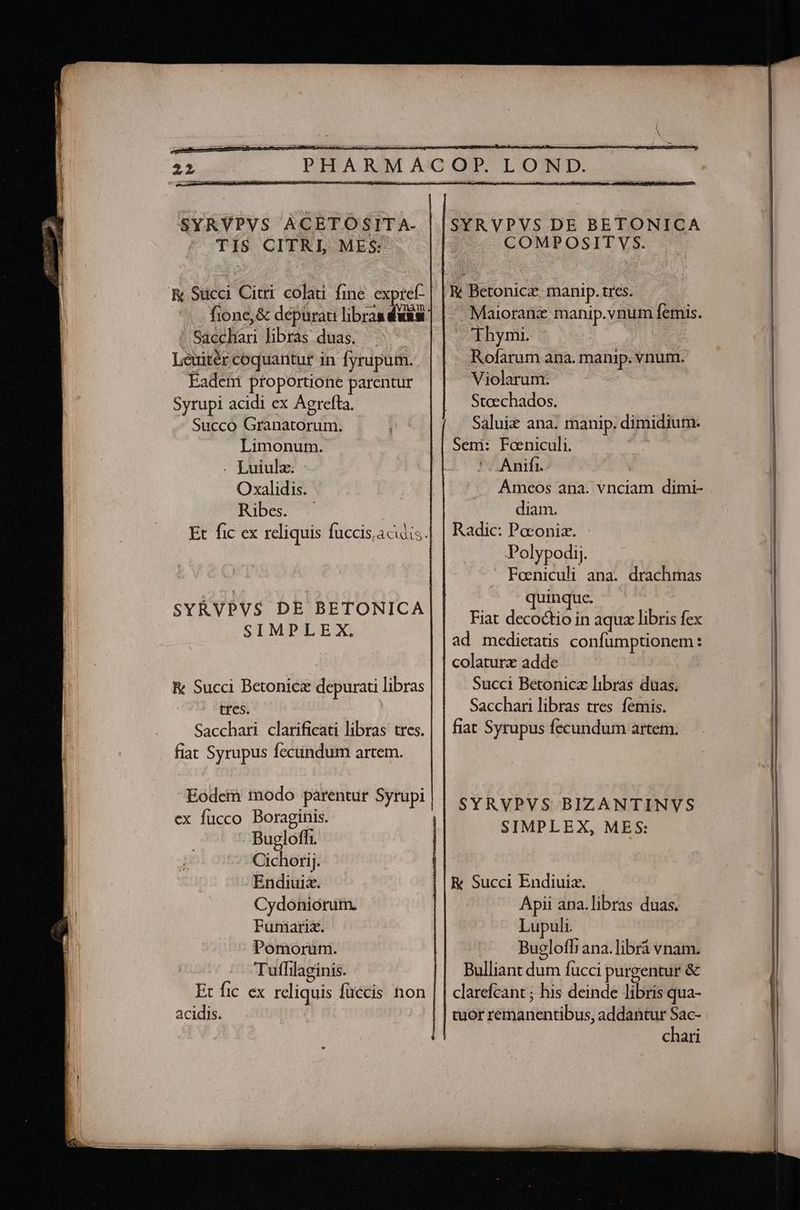 SYRVPVS ACETO SIT A-  TIS CITRI MES: fione,&amp; dépurati libras dasm J'&amp;addlori libras duas. Leuitér coquantur in fyrupum. Eadem proportione parentur Syrupi acidi ex Agrefta. Succo ES EN Limonum. . Luiula. Oxalidis. Ribes. Et fic ex reliquis fuccisacudis. SYRVPVS DE BETONICA SIMPLEX. R&amp; Succi Betonicz depurati libras tres. Sacchari clarificati libras tres. fiat PEU. Api artem. Eodem modo m Syrupi ; ex fücco Boraginis. Bugloffi. Cichorij. Endiuia. Cydoniorum. Fumarix. Pomorum. Tuflilaginis. acidis. |SYRVPVS DE BETONICA COMPOSITVS. 3 Betonicze manip. tres. .. Maioranz manip.vnum femis. -'phymi. Rofarum ana. manip. vnum. Violarum: Steechados. Saluiz ana. manip. dimidium. Sem: Foeniculi. Anifi. Ameos ana. vnciam dimi- diam. Radic: Poconiz. Polypodi;. ' Foeniculi ana. drachmas quinque. Fiat decoctio in aque libris n ad medietatis confumptionem : colaturz adde Succi Betonicz libras duas. Sacchari libras tres femis. fiat Syrupus fecundum artem. SYRVPVS BIZANTINVS SIMPLEX, MES: RK Succi Endiuia. Apii ana.libras duas. Lupuli. Bueloffiana.librá vnam. Bulliant ER fucci purgentur &amp; clarefcant ; his deinde Nlis qua- tuor Véthensbus; addantur Sac- chari