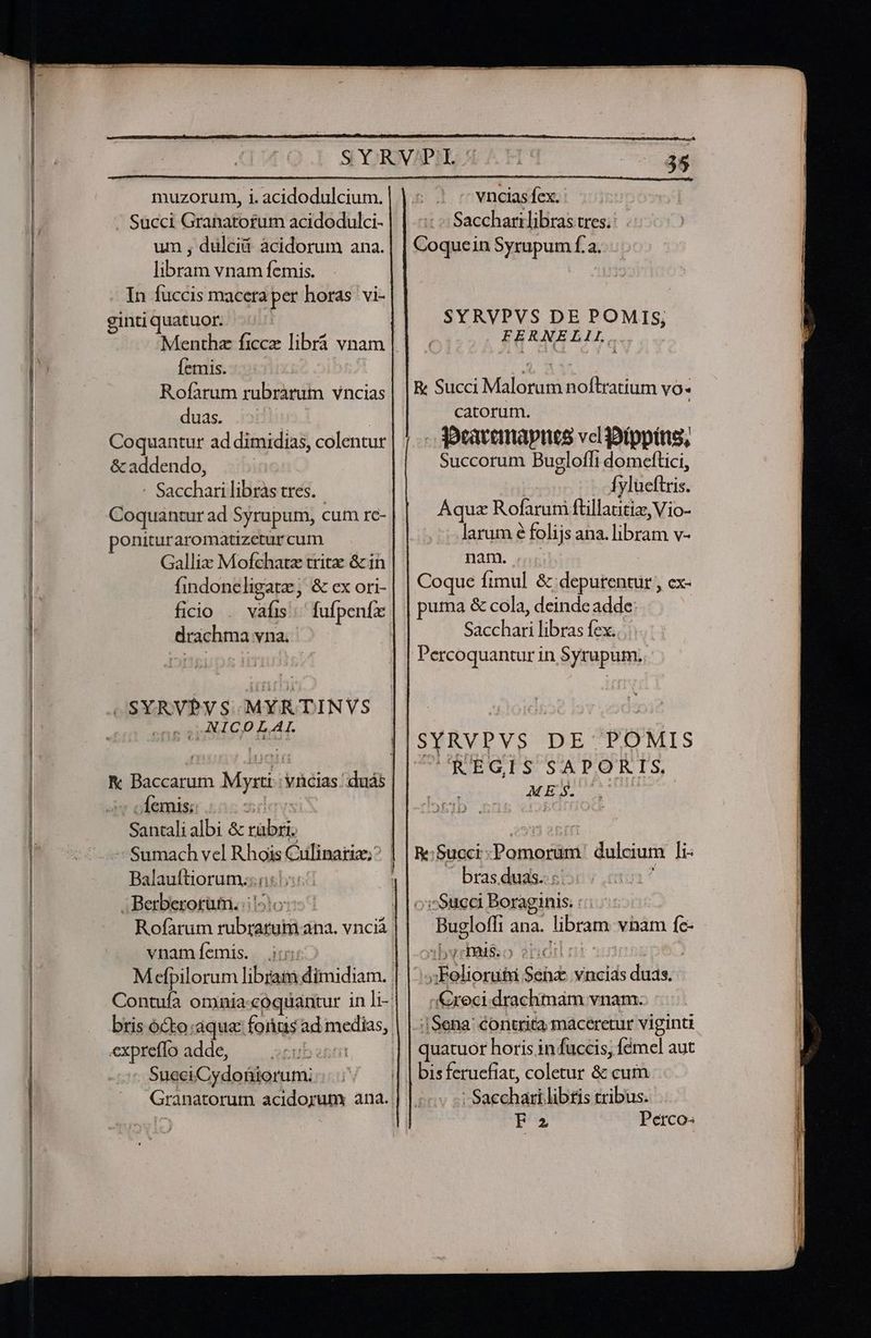 muzorum, i. acidodulcium. . Succi Granato£um acidodulci- um , dulci àcidorum ana. libram vnam femis. In fuccis maceta per horas vi- gintiquatuor. | Menthz ficcz librá vnam Íemis. Rofarum rubrarum vncias duas. Hus. | Coquantur ad dimidias, colentur &amp; addendo, | - Sacchari libras tres. Coquantur ad Syrupum, cum rc- ponituraromatizetur cum Gallix Mofchatz tritz &amp; in findoneligatz, &amp; ex ori- ficio . vafis; fufpenfz drachma vna. | SSYRVPYS MYRTINVS . NICOLAI. Ix Baccarum Mytrti:: vicias .duás | nr ofemism 525 sdavs Santali albi &amp; rabri. - Sumach vel Rhois Culinariz;? | Balauftiorum.:.i:5 i bras duas. . Berberoram. (15107: o:'Succi Boraginis. : Rofarum rubrarumiana. vnciá | | Bugloffi ana. libram vnam fe- vnamíemis. i: | |-o:byrbaiiso enei nic | Mefpilorum libram dimidiam. | |- ;:Felioruixi Sena: vncids duas. Contufa omnia.coqüantur inli-| | ;&amp;xeci.drachtmam vnam. bris 6&amp;to;aqua: forius ad medias, expreflo adde, sti SueciCydoniorum; Granatorum acidorum ana. 35 vncias fex. | Saccharilibras tres: Coquein Syrupum f.a. SYRVPVS DE POMIS, |o EERNELIL, R Succi Malorum noftratium vo- catorum. | .. Seavemapnes vel goíppíns, Succorum Buglofli domeftici, | ^ fylueftris. Áquz Rofarum ftillautiz, Vio- larum é folijs ana. libram v- Dam. rg puma &amp; cola, deinde adde Sacchari libras fex. Perco quantur in Syrupum. CURTUEGIS SAPORIS, ME $. | Re: Succi -Pomorum:. dulcium li .|Sena: contrita maceretur viginti quatuor horis in fuccis, fémel aut bis feruefiat, coletur &amp; cum : Sacchari libtis tribus. F2 Perco-