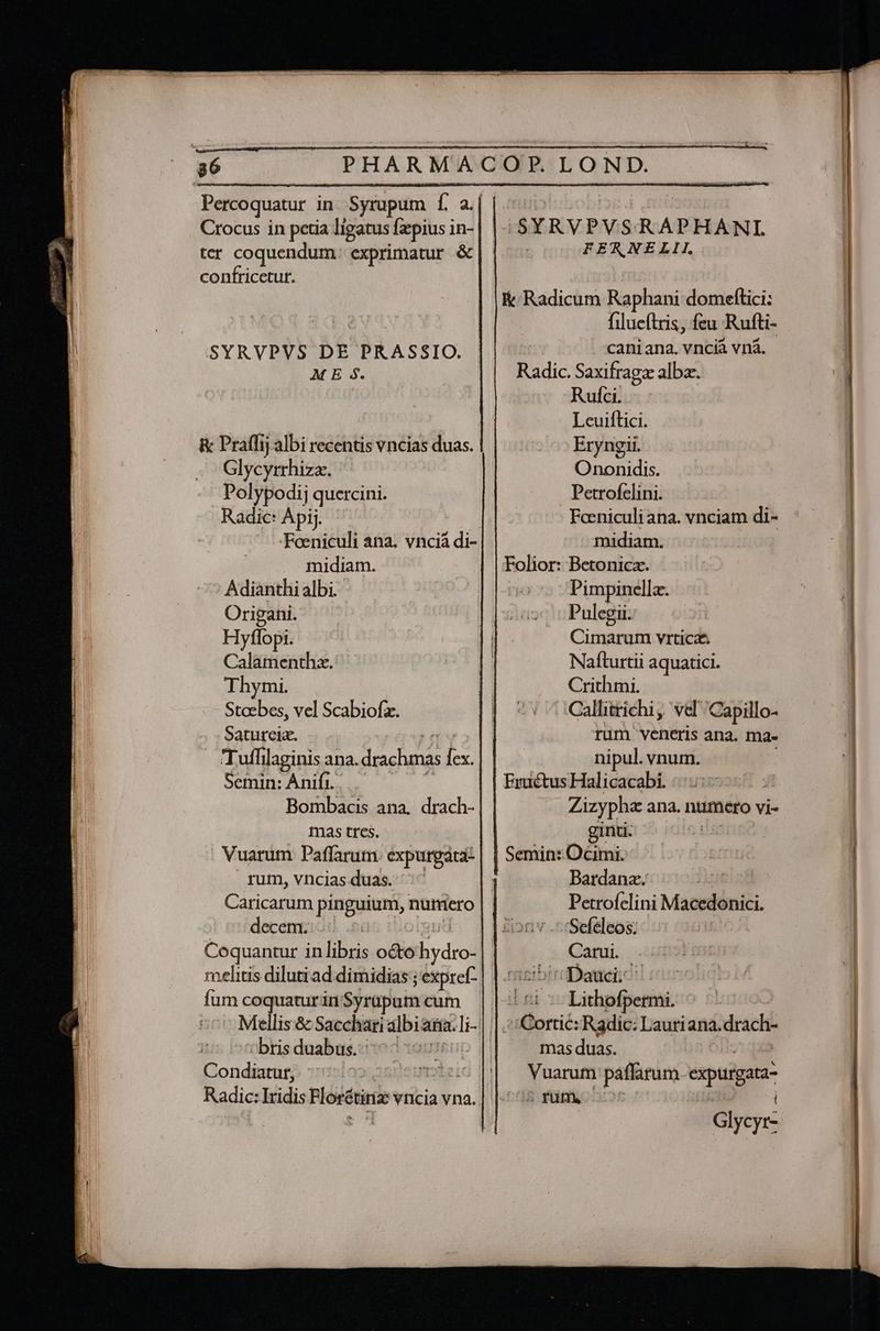 ter coquendum exprimatur &amp; confricetur. SYRVPVS DE PRASSIO. M E 3$. R: Praffij albi recentis vncias duas. Glycyrrhiza. Polypodij quetcini. Radic: Apij. -Feeniculi ana. vncià di- midiam. Adianthi albi. Origani. Hyflopi. Calamenthz. Thymi. See vel Scabiofz. Satureix. Tuffilaginis ana. drachmas i Semin: Ánifi. Bombacis ana. drach- mas tres. Vuarum Paffarum. expurgáta- rum, vncias duas. decem. | Coquantur in libris oóto bydiol melitis dilutiad dimidias ; ; expref- fum coquatur in Syrapum cum Mellis&amp; Sacchari S m bris duabus. | Condiatur, | Radic: Iridis Plorétinz vricia vna. | SYRVPVSRAPHANI | FERNELII. K.Radicum Raphani domeftici: filueftris, feu Rufti- caniana. vncià vna. Radic. Saxifragz albae. Rufci. Leuiftici. Eryngii. Ononidis. Petrofelini. Foeniculiana. vnciam di- midiam. Folior: Betonicz. : Pimpinellz. Pulegii Cimarum vrtica Nafturtii aquatici. Crithmi. Callitrichi, vel 'Capillo- rum veneris ana. ma- nipul. vnum. Eraétus Halicacabi. |... Zizypha ana. numero vi- ginti: | Semin: Ocimi: Bardanz. Petrofclini Maccdonici. Seféleos; Carui. abiriDaucic: | 6i 5o Lithofpermi. aifflorrics Radic: Lauriana. drach mas duas. Vuarum —— erpurgas 5 füff Glyr-