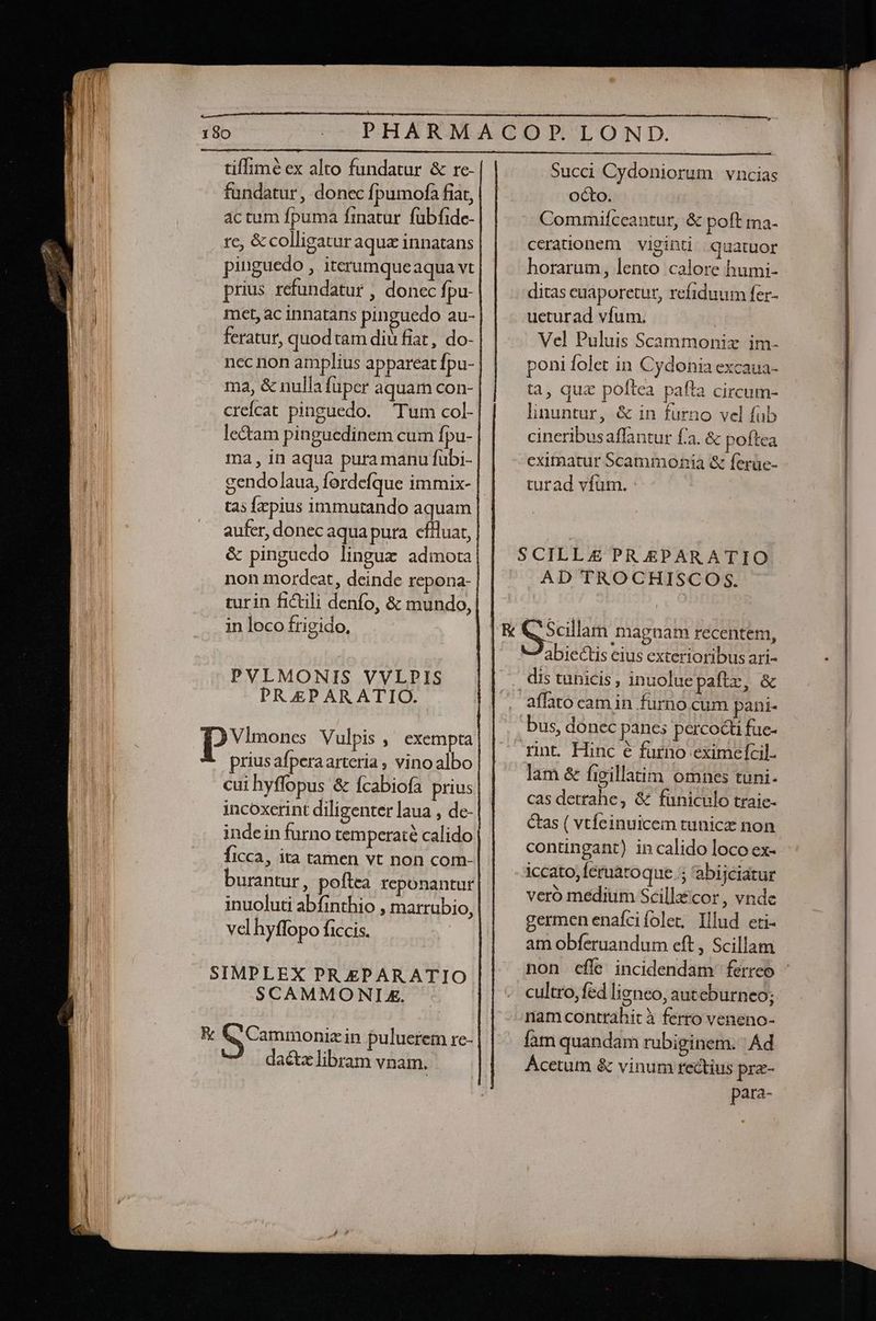 tiffimé ex alto fundatur &amp; re- fundatur, donec fpumofa fiar, actum fpuma finatur fübfide- re, &amp; colligatur aqu innatans pinguedo , iterumqueaqua vt prius refundatur , donec fpu- mcet, ac innatans pinguedo au- feratur, quod tam diu fiat, do- nec non amplius appareat fpu- ma, &amp; nulla fuper aquam con- creícat pinguedo. Tum col- lectam pinguedinem cum fpu- ma, in aqua pura manu fübi- gendolaua, fordefque immix- tas [zpius immutando aquam aufer, donec aqua pura. efiluat, &amp; pinguedo lingue admota non mordcat, deinde repona- turin fictili denfo, &amp; mundo, in loco frigido, PVLMONIS VVLPIS PR.EP ARATIO. Vlmones Vulpis ,' exempta prius afperaarteria ; vinoalbo cui hyffopus &amp; fcabiofa prius incoxcrint diligenter laua , de- indein furno temperaté calido ficca, ita tamen vt non com- burantur , poftea reponantur inuoluti abfinthio , marrubio, vel hyffopo ficcis. SCAMMONTIE. dactz libram vnam. Succi Cydoniorum vncias octo. Commifceantur, &amp; poft ma- cerationem |. viginti quatuor horarum, lento calore humi- ditas cuaporetur, refiduum fer- ueturad víum. | Vel Puluis Scammoniz im- poni folet in Cydonia excaua- ta, quz poftea pafta circum- linuntur, &amp; in furno vel fub cineribusaffantur fa. &amp; poftea cxitnatur Scammonia &amp; ferüe- turad vfum. : SCILL£ PR EPARATIO AD TROCHISCOS. abiectis eius exterioribus ari- dis tunicis , inuolue paftz, &amp; affato cam in furno cum pani- bus, donec panes percocti fue- rint. Hinc e furno eximefcil. lam &amp; fiillatim omnes tuni. cas detrahe, &amp; fünicülo traie- ctas ( vtfeinuicem tunice non contingant) in calido loco ex- iccato, feruatoque 5 'abijciatur veró medium Scillacor , vnde germen enafcifolet, Illud eti- am obferuandum eft , Scillam non cfle incidendam ferreo ' cultro, fd ligneo, auteburneo; nam contrahit à ferro veneno- fam quandam rubiginem. - Ad Ácetum &amp; vinum rectius pre- para-