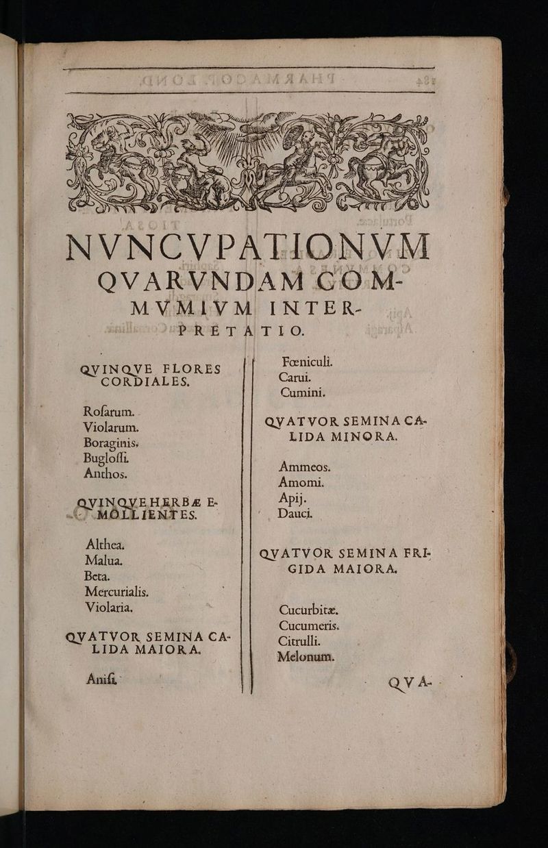 » SS gos ! AR EP» / Lm E: SUN eV ZR A m) Me SS. fi [7 z c ^u d y : e e NND E EE Ma b j SEE SS ? ENS c S ORSP 5 / 1M N N qu a yx ^ / / zw4s / S U 39 NI d  J I / — (HZ IR S ZR 3 S fa | NVNCVPATIONVM | MVMIVM INTER- UJSRURBT ACT IO. ; Foeniculi. QVINQVE FLORES i CORDIALES. Carui. Cumini. | Rofarum. | Ü Violarum. QYATVOR SEMINA CA- | Boraginis, LIDA MINQRA. Bugloffi. | Anthos. Ammeos. Amomi. QVINQVEHERB A E- Apij. SOROMMÓLLIENTES. — Dauci. Althea. MA bd | | Malua. QVATVOR SEMINA FRI- Beta. —» GIDA MAIOR.A. Mercurialis. | Violaria. Cucürbitz. | T 0 NEM Cucumeris. | QVATVOR SEMINA CA- Citvulli | LIDA MAIOR A. due Melonum. Anifi