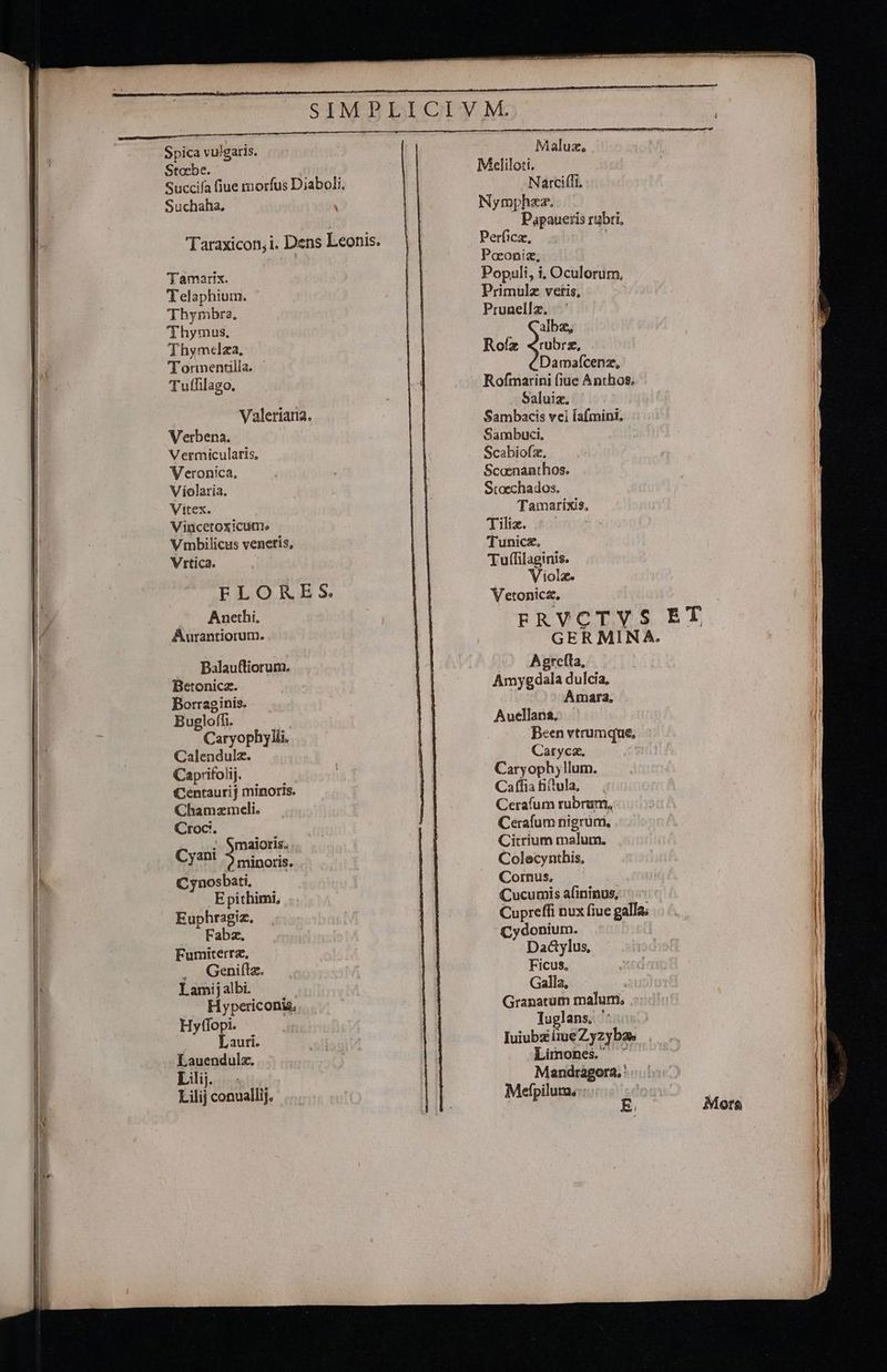 Spica vulgaris. Stoebe. Suchaha, Tamarix. Telaphium. Thymbra, 'Thymus, Thymcelza, 'Tornenulla. Tuffilago. Valeriana. Verbena. Vermicularis, Veronica, Violaria. Vitex. Vincetoxicume Vmbilicus veneris, Vrtica. FLORES. Anethi, Aurantiorum. Balaufliorum. Betonicz. Borraginis. Bugloffi. Caryophylli. Calendulz. Caprifolij. Centaurij minoris. Chamzmeli. Croc.. Con maioris. Cynosbati. E pithimi, Euphragiz. Fabza. Fumiterrz, . Geni(lz. Lamij albi. Hypericonis, Hyffopi. Lauri. Lauendulz. Lilij. . Lilij conuallij. Maluz, Nymphzz. Papaueris rubri, Perficz, * Pooniz, Populi, i, Oculorüm, Primulz veris, Prunellz., albas, Rolz jon Damaícenz, Rofmarini fiue Anthos. Saluia. Sambacis vei Íafmini, Sambuci, Scabiofz., Scaenanthos. Stoechados. Tamarixis, Tiliz. Tunica. Tuffilaginis. Violz. Vetonicz. A greta, Amygdala dulcia, Amara, Auellana, Caryca. Caryophy lum. Caffia fiitula, Cerafum rubrum, . Cerafum nigrüm. Citrium malum. Cornus. Cucumis afininus, Cupreffi nux fiue galla; Cydonium. Dac&ylus, Ficus, Galla, Granatum malum, Tuglans. ' Iuiubz (iue Zyzybas Limones. ^ Mandragora. : Mefpilum, j !