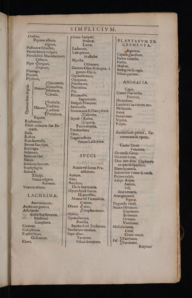 Papauer album. nigrum, Paflinacz fylue(lris, Perrofelinum vulgare, Petrofeliná Macedonicum. album. Piper Jota nigrum, Plantago, Poonia, Pfyllium, r Cucumeris, Cucurbitz, Melonis, Citrulli. Maiora Scariolz, Endiuiz. Lactuca. Portulaca, Minora Quatüorfem: frigida | Rapum. Raphanum. Rhois culinaría fiue Su- mach, Rofía, Rufcus. — Ruta hortenfis, Semen Sanctum. Saxiiragia, Seíamum, — Sefeli vel Gler. Sinapi. Sclanum fativum. Staphyfagria, Sumach. Thlafpi. Vrtica vulgaris. Romana, Vuarum acinus. LACHRIM x. Ammoniacum., Arabicum gummi, A Ta fzetida dulcis fiue Beuzoin, Bdellium. Camphora. .Caranna; Colophonia. Euphorbium. Galbanum, Elemi, Gum: luniperi, Hederz., Lacez. Ladanum, Laferpitium. Mattiche. M yttha, | Olibanum, gummi Elemi, Opobalfamum. Opopanax. Petrolzum, Pini refina, Pix. Pix naualis. Sagapeaum. Sanguis Draconis. Sarcocolla. l'Calamita, Styrax 4 Rubra, L Liquida, Tacamahacha, l'erebinthina, Ihus. Tragaconthum, Vitium Lachryma. SVCGE Acacia vel fuccus Pru- nellorum. Àcetum. Aloe. Amylum. Gerfa ferpentaria, Glycyrrhyzaz fuccus, Hypocitthis, recens, Oleum 4vetus. Opium. Opobalfamum, Penidiz. Saccharum candum. Sapo albus. Tartarum. Vifcus Aucupum, PLANTARVM EX. CREMENT A, vAgaricus. Capulz glandium. Farina volatilis, Furfur. Mufcus, Bedegaris fpongia, Vicus quernus, ANIMALIA, Capo. Cancri Fluviatiles, Formica, Hirundines, Lumbrici (cu vermes terr. Millipedes, HRanz, Scorpiones. Viperz, Vulpis. Animalium partes, Ex- crementa &amp; opera, Cornu Cerui, Vnicornu, Oscordis Cerui. Oscrurisbouis, . Ebur iue dens Elephantis ex quo fit Spodium, Scincorum venter &amp; cauda. Pulmo vulpis. Adeps Anatis, Anferis. Vríi, Seuiveruecis. Axungia porci, Viperz. Pinguedo vituli, Seuum Hircinum. Caprinum. Bouinum. Ovinum. Vaccinum., Medulla bouis, Cerui, Cruris vaccz, Fd jc udi Vaccinum, Butyrum