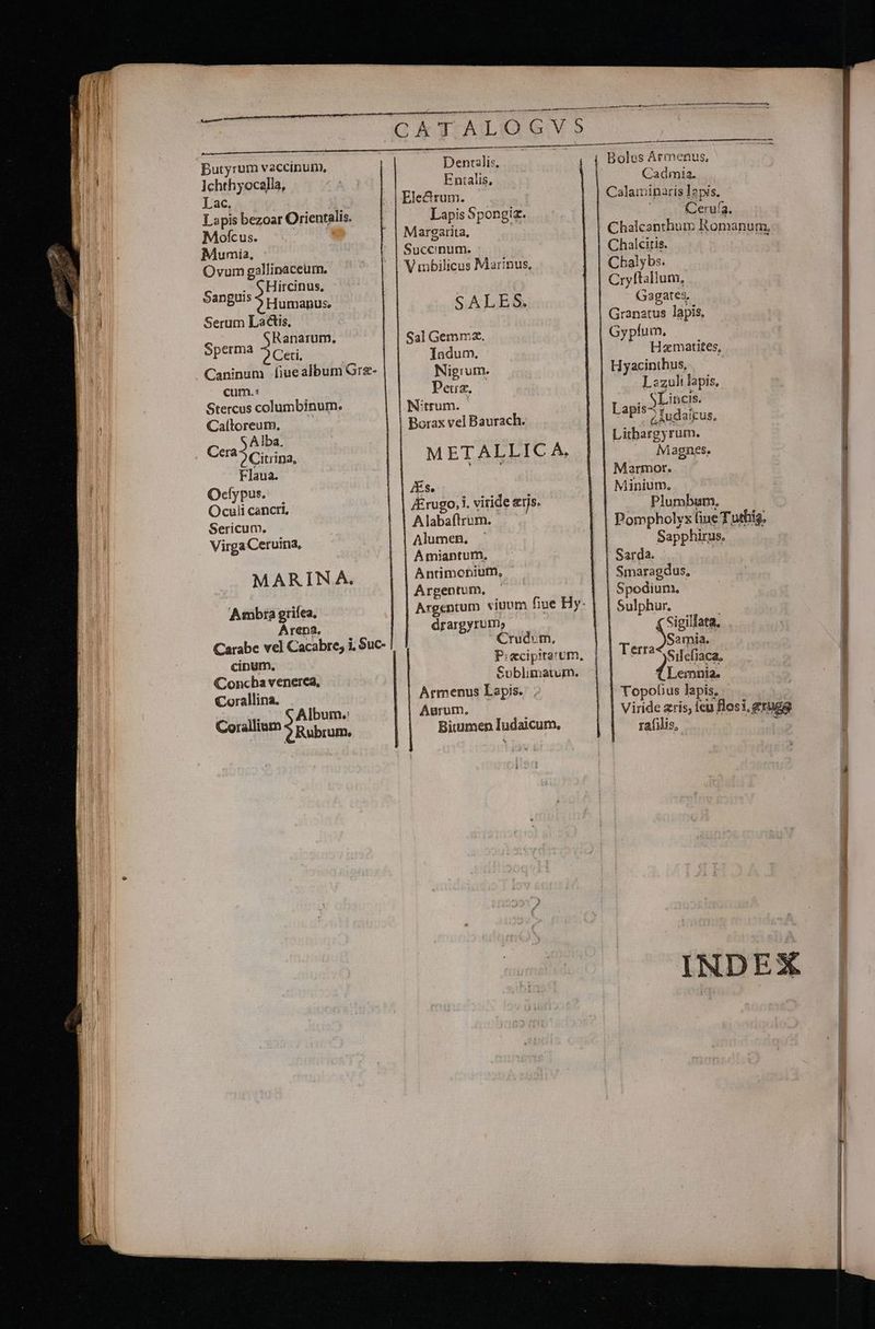 f Er ei : — — Ichthyocalla, Lapis bezoar Orientalis. Mofcus. E Munmia, Ovum gallinaceurm. Sanguis Hircinus, Serum Lais, cum.: Stercus columbinum. Calíloreum. Alba. Cera Citrina, Ocfypus. Ocuii cancri, Sericum. Virga Ceruina, MARINA. Ambra grilea. Arena. Carabc vel Cacabre, i, Suc- cinum. Concha venerca, Corallina. Ibum.: AL SA Corallium 2 Rubr ufo) n t aet BDEITENDUTURUE A. e MCCTUR Bolus Ármenus, Dencailis, Entalis, Cadmia. Ele&amp;rum. Calaminaris Japis. Lapis Spongiz. | Cerufa. | Margarita, | Chalcanthum Romanum, | Succinum. Chalcitis. a RESPON: V mbilicus Marinus, Chalybs. Cryftallum, | SALES. Gagates, Granatus lapis, Sal Gemm2z. Gypfum, Indum. Hamatites, | Nigrum. Hyacinthus, | Peu. Lazuli lapis, Nitrum. Labí SLincis. | Borax vel Baurach. -3pi5^ tudaicus, ithargyrum. METALLICA. || assi | Marmor. i bob oesctti N Minium. K&amp;rugo, i. viride eris. Plumbum. Alabaftrurn. Pompholvs liue T uthig. Alumen. Sapphirus. A Amiantum, Sarda. b | Antimoniutn, Smaragdus, | Argentum, | | Spodium. Argentum viuum fiue Hy- | | Sulphur, | drargyrum,. | ( Sigillata. | Crudom., Samia. P:ecipitarum, Terra c i(iaca, Sublimatum. (d Lennia. Armenus Lapis. Topofius lapis, | Aurum. ; Viride ris, icu flosi,grugg Bitumen Iudaicum, rafilis, AUS