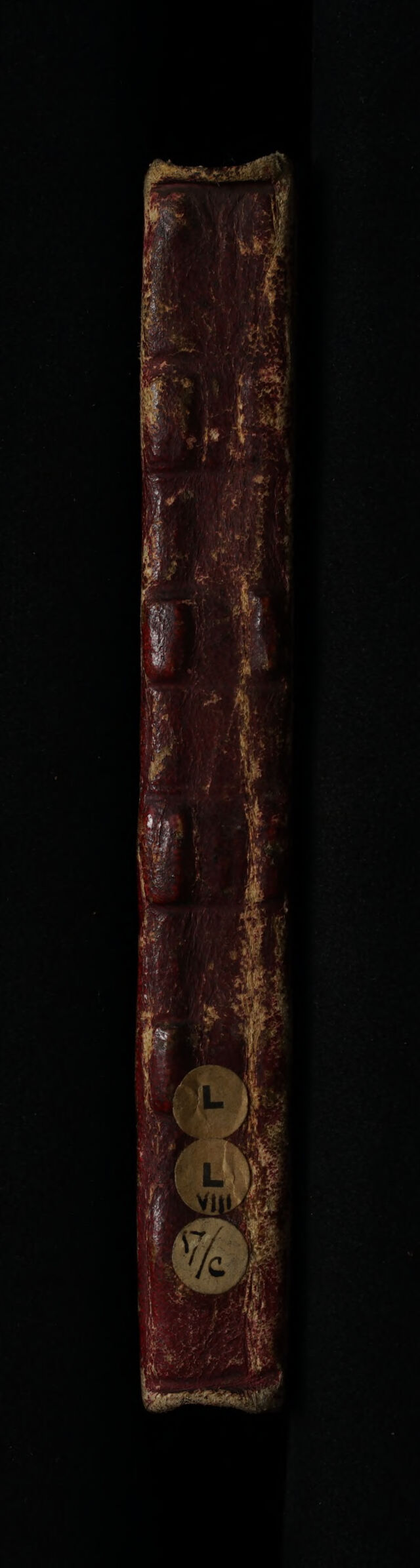 No text description is available for this image