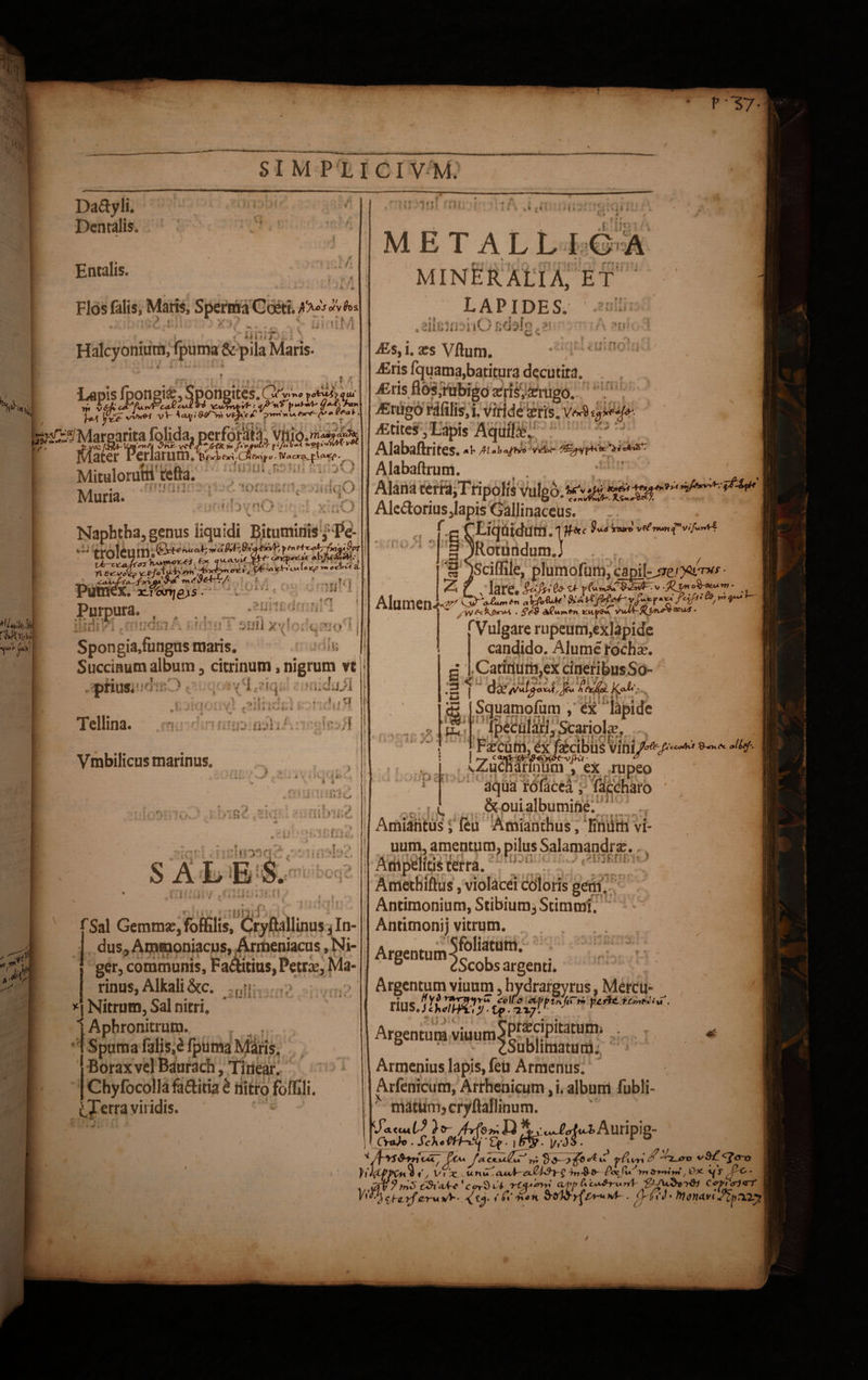 * VZ7- r • SI M P L I CI V M. Da&yli. Dentalis, Entalis. h. Flos falis, Maris, SpermaCoeti. ; .V «il ; ruir.r.: ma & pila Maris- \ ai r * /■ uj>im mu •? /w * i , , METALLIG A mineralia, et lapides. .jiiBJroiiOfidafg^! iEs, i. xs Vflum. iEris fquama,batitura decutira. -£ris flos,iubigd xrfSferugo. * ^ < l* i n o't' i - . ipm fto p o - IV d cxzkJ^SfM^p - Mitulorum teRa. Muria. I Naphtha, genus liquidi BituminisPe- Pumex. SffiWjflir*. Purpura. Udli;:-. i '.J-jl 5HI1 X^QsiqEao.l Spongia,fungus maris. -'u Succinum album, citrinum, nigrum vt , priiw^TiO : '(:i '!,s t.uJdil * \ ‘ * i v i u- r t .i. i/ . ; - *»>|* •.•-• f | •'* * . t vf * l • : M *v> v » iU & u «y a * -! i \ Tcllina. niiii f * * • . <p« ir • v. ^ --- | —v; Alabaftrites. ftlalxzfbro V-»;4o<^^^yF+'’*^*(=AnS+: Alabaftrum. terra,Tripolis Ale&orius,lapis Gallinaceus, p f Liquidum. 1 ' S j_r Vmbilicus marinus. , •, / l y iKiUPm 1 4 ■ J ' i ' ' . f/i . r ^ . *i > r2 -ivi • ai!o.«;2 viw 5 ‘ -tli- «a .r-Uls ^.ICffiCa ■ ■ ' ;;!f103f«u / ‘ ! iT 'A \\ mulboqZ r . i 7 • •. ■ > *'.D; , milii r' \ -y ■ •* * i •■ # • E '3 .«i ■ l . •. : .'SiVT.T? ;■ SALES. 4 •- * I * ' m? i A Sal Gemmse, foffilis, Cryftallinus , In¬ dus, Ammoniacus, Armeniacus, Ni¬ ger, communis, F alitius, Pe trx, Ma¬ rinus, Alkali &c. >4 Nitrum, Sal nitri. 1 Aphronitrum. f.. _. Spuma falis,i lpuma Miris. Borax vel Baurach, Tinear. Chyfocolla fa&itia t nitro foffili. tycrravnidis. 4 ^ s. -pnr $u-<) XTUro' vf!^W*Mij,nV(/uT*f? J ^Rotiitidum.. jScifflle, plumofum, capil-jre1 yk-r** a< i^iClare ' ‘ ‘ ^ Alumen^O;^. s„ ^ ^ •Vulgare rupeum,exlapide candido. Alumerochse. .Caridum,ex cineribusSo- <;'dE^^fJ-|%K^-s i Squamofum , ex lapide fpeculari, ScarioLc, Fxcum, ex fecibus 'vini/^7 ccc/lvt . cZucnarinum , ex rupeo aqua roiacea, (ajccharo . & oui albumine. Amiantus, leu Amianthus, finiim vi- uum, amentum, pilus Salamandrx.. Ampelitis terra. Amethiftus, violacei coloris geni. Antimonium, Stibium, Stimmi. L - Antimonij vitrum. . . , m Argtmum^11?0- . ° dScobs argenti. Argentum viuum, hvdrari tius/jKX}' Argentum viuum5P^!P^atum* * 6 dSubhmatum., ' •' . j'| Armenius lapis, feu Armenus. | B Arfenicum, Arrhenicum, i. album fubli- ' matum,cryftallinum. j T*t«^ )tr /Lfs»;D^i,:i^trft^.Auripie- j Cvtb© . Xc A « ffihi- . i p,*J ^. ^^\9^7i c«Ti ^a^ ^rni ^■<~Z^na (/ V i ic unu^a7n&&- Asr/1* >n JrWW, Dx r - 1 ,,$$9 t2l*Ant* CfrSCi COfyp Cf^f^<r7' 4 bCo * tyonzvi it?-if >, Mercu- ferte, run^iu .