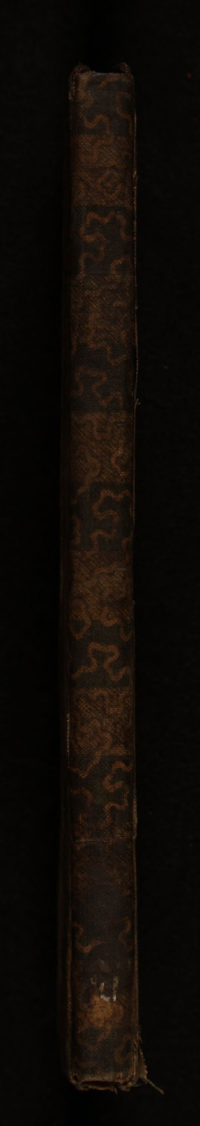 digitised image 2