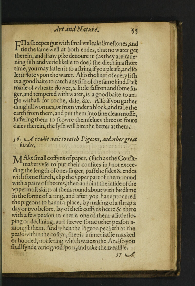 Fill a (heepes gut with fmal vnfleaktlimeflonesjand tie the fame well at both endes, that no water get therein, and if any pike dcuoure it (as they are raue- ning fifh and verie likelie to doe) the dieth iti a (hort time, you may fallen it to a firing ifyou pleafe,and fa let it flotevpon the water. Alfa the Iiuer of eucry fifh is a |ood baite to catch any fifh of the fame kind.Paft maae of vvheate flower, a little faffron and fome fii- ger,and tempered with water, is a good baite to am . glc withall for roche, dale, &c. Alfa if you gather dunghill wormes,or from vnder a b!ock,and take the earth from them,and put them into fine clean moffo, fuffering them to fcowre themfelues three or foure daies therein, the fyfh will bite the better at them. jd. readic waie to catch Pigeons, and other great birdes. ~ .a. + . .• * * . V'r ^ j , rj IQ ') r 1 Ake fin all coffyns ofpaper, (fuchas the Confit- makers vfe to put their confites in) not excee¬ ding the length of ones finger, pafl the fides & endes with fome flarch, clip the vpper part of them round with a pairc offheeres, then annoint the infideofthe vppermofl skirts of them round about with birdlime in the forme of a ring, and after you haue procured thepigeonstohaunta place, by makingof a fhrapa day or two before, lay ofthefe coffyns heere &: there with a few peafon in euerie one of them alittle Ho¬ ping o; declining, and llrewe fome other peafon a- naongft them. And when the Pigeon pecketh at the peafe within the cofryn, fheeis immediatlie masked or hooded, not feeing which vvaie to flie. And fo you (hallfynde verie good IpOi r^and take themeafilie. $7