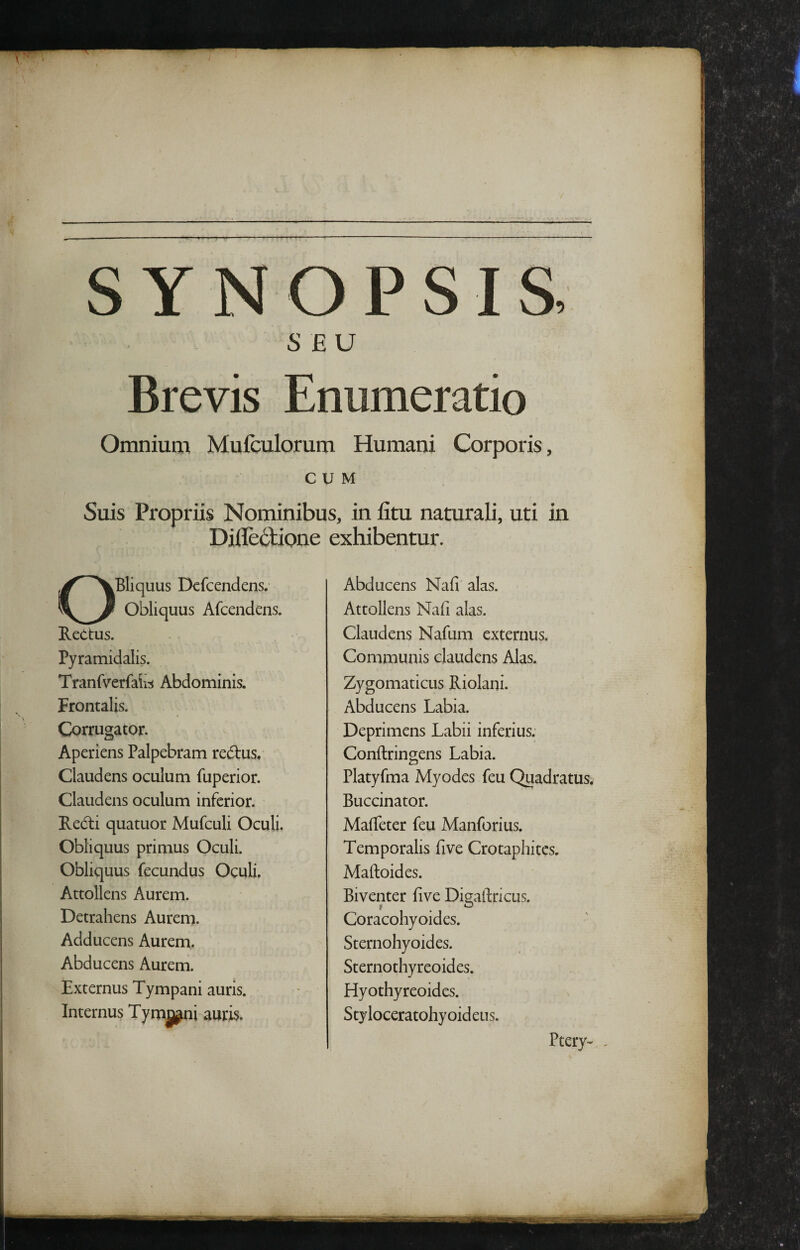 / SYNOPSIS. SEU Brevis Enumeratio Omnium Mufculorum Humani Corporis, CUM Suis Propriis Nominibus, in iitu naturali, uti in Difleftione exhibentur. OBliquus Ekfcendens. Obliquus Afcendens. Rectus. Pyramidalis. Tranfv^^erfairf Abdominis. Frontalis. Corrugator. Aperiens Palpebram redtus. Claudens oculum fuperior. Claudens oculum inferior. Redi quatuor Mufculi Oculi. Obliquus primus Oculi. Obliquus fecundus Oculi. Attollens Aurem. Detrahens Aurem. Adducens Aurem. Abducens Aurem. Externus Tympani auris. Internus Tymjjni auris. Abducens Nafi alas. Attollens Nafi alas. Claudens Nafum externus. Communis claudens Alas. Zygomaticus Riolani. Abducens Labia. Deprimens Labii inferius. Conftringens Labia. Platyfma Myodes feu Quadratus. Buccinator. Mafieter feu Manforius. Temporalis five Crotaphites. Maftoides. Biventer five Digaftricus. Coracohyoides. Sternohyoides. Sternothyreoides. Hyothyreoides. Styloceratohyoideus. Ptery- ,