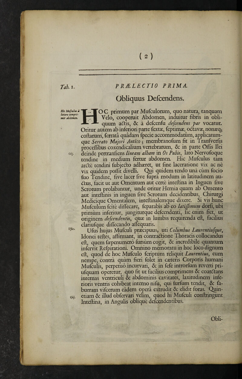 (2) Tah.i. FRMtECTIO PRIMA. Obliquus Defcendens. mcMufcuitui TT.-TOC primum par Mufculorum, quo natura, tanquam luttTt cowpvi^ ^ - ^ **aii r^x 1 1 * mit abdmtn. ■ Velo, cooperuit Abdomen, induitur hbris in obli- quum adtis, & a defcenfu descendens par vocatur. Oritur autem ab inferiori parte fextae, feptimae, odtavse, nonseqj coftarum, ferrata quadam fpecie accommodaturn, applicatum- que Serrato Majori Antico 3 membranofum fit in Tranfverfis procellibus coxendicalium vertebrarum, & in parte Offis Ilei deinde pertranfiens lineam albam in Os Pubis., lato Nervofoque tendine in medium fertur abdomen. Hic Mufculus tam ardle tendini fubjcdo adhsereit, ut fine laceratione vix ac ne vix quidem poflit divelli. Qui quidem tendo una cum focio fuo Tendine, five lacer five fupra modum in latitudinem au- dus, facit ut aut Omentum aut certe inteftina in Inguen five Scrotum prolabantur, unde oritur Hernia quam ab Omento aut inteftinis in inguen five Scrotum decidentibus, Chirurgi Medicique Omentalem, inteftinalemque dixere. Si vis hunc Mufculum fcite diffecare, feparabis ab eo latiffimum dorfi, ubi primum inferitur, jungiturque defeendenti, fic enim fiet, ut originem defcendentk, quae in lumbis requirenda eft, facilius clariufque difiecando aflequaris. Ufus hujus Mufculi praecipuus, uti Columbus Laurentiufque, Idonei teftes, affirmant, in contractione Thoracis collocandus eft, quem ftepenumero fursunl cogit, & incredibile quantum infervit Refpirationi. Omnino memoratu in hoc loco dignum eft, quod de hoc Mufculo feriptum reliquit Laurentius., eum nempe, contra quam fieri folet in caeteris Corporis humani Mufculis, perpetuo incurvari, & in fefe introrfum reverti pri- ufquam operetur, quo fit ut facilius comprimens & coarCtans internas ventriculi & abdominis cavitates, laxitudinem infe¬ rioris ventris cohibeat interno nifu, qui lurfurn tendit, 6c fa- burram vifcerum eadem opera extrudit 6c elidit foras. Quin- Qi;. etiam & illud obfervari velim, quod hi Mufculi conftringunt Inteftina, in Angulis oblique defeendentibus.