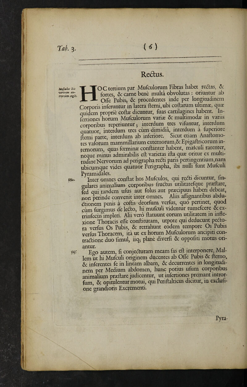 J tab. 3. (O Mufiuhs hic vertrem an~ trorsum agit. Vfut’ Reatus. OC tertium par Mufculorum Fibras habet redas, fortes, & carne bene multa obvolutas : oriuntur ab ^ Ofle Pubis, & procedentes inde per longitudinem Corporis inferuntur in latera fterni,ubi coftarum ultima, qu* quidem proprie coftae dicuntur, fuas cartilagines habent. In- fertiones horum Mufculorum vari* & multiniod* in vanis corporibus reperiuntur, interdum tres vifuntur, interdum quatuor, interdum tres cum dimidia, interdum a fuperiore ^erni parte, interdum ab inferiore. Sicut etiam Anaftomo- tes vaforum mammillarium externorum,&Epigaftricorum in¬ ternorum, quas foemin* conftanter habent, malculi rarenter, neque minus admirabilis eft varietas ifta qu* qritur ex multi¬ tudine Nervorum ad perigrapha redi paris pertingentium.nam pbici)imc|iic vidcs eju^tuor Pcngrsphs, ibi nulli (unt Mufculi Pyramidales, . ^ inter omnes conflat hos Mufculos, qui rea:i dicuntur, lin- gulares animalium corporibus frudus utilitatefque prsftare, ied qui tandem uflis aut folus aut prsscipuus haberi debeat, non perinde convenit inter omnes. Aliis allignantibus abdu- dionem penis a coftis deorfum verfus, quo pertinet, quod ciim furgimus de ledo, hi mufculi videntur tumefeere & ex- trinfecus impleri. Alii vero ftatuunt eorum utilitatem in infle¬ xione Thoracis efle conftitutam, utpote qui deducunt pedo- fa verfus Os Pubis, & retrahunt eodem tempore Os Pubis verfus Thoracem, ita ut ex horum Mufculorum ancipia con- tradione duo fimul, iiq; plane diverfi & oppofui motus ori¬ antur. - -n • 1,1 Ego autem, fi conjeduram meam fas eft interponere, Mal¬ lem ut hi Mufculi originem ducentes ab OflTe Pubis & fternq, & inferentes fe in lineam albam, & decurrentes in longitudi¬ nem per Medium abdomen, hunc potius ufum corporibus ^pim^liiim prxftare judicentur, ut infertiones premant intror- fum, & opitulentur motui, qui Periftalticus dicitur, ia exclufi- one grandioris Excrementi. Pyra-