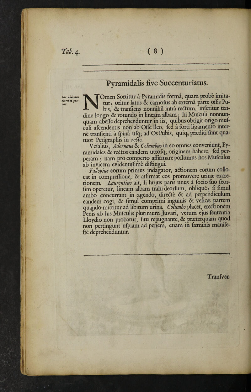 Hie niivmen deorsum fre¬ mit. Pyramidalis five Succenturiatus. NOmen Sortitur a Pyramidis forma, quam probe imita¬ tur 3 oritur latus & carnofus ab externa parte qflis Pu¬ bis, & tranfiens nonnihil infra redum, inferitur ten¬ dine longo & rotundo in lineam albam 3 hi Mufculi nonnun- quam abefle deprehenduntur in iis, quibus obtigit origo muf¬ culi afeendentis non ab Offe Ileo, fed a forti ligampto inter¬ ne tranfienti a fpina ufq3 ad Os Pubis, quiq3 prsediti funt qua- tuor Perigraphis in re5io. Vefalius, Adernam 6c Columbus in eo omnes conveniunt. Py¬ ramidales & redos eandem utrofq3 originem habere, fed per¬ peram 3 nam pro comperto affirmare poffumus hos Mufculos ab invicem evidentifiime diftingui. Faliopus eorum primus indagator, adtionem eorum collo¬ cat in compreffione, & affirmat eos promovere urin^ excre- tionem. Laurentius ait, fi hujus paris unus a focio fuo feor- fim operetur, lineam albam trahi deorfum, oblique 3 fi fimul ambo concurrant in agendo, direde & ad perpendiculum eandem cogi, & fimul comprimi inguinis &; veficae partem quando mittitur ad libitum urina. Columbo placet, eredion^m PenTs ab his Mufculis plurimum Juvari, verum ejus fententia Lloydio non probatur, fitu repugnante, & praeterquam quod non pertingunt ufpiam ad penem, etiam in faeminis manife- fte deprehenduntur. Tranfver-