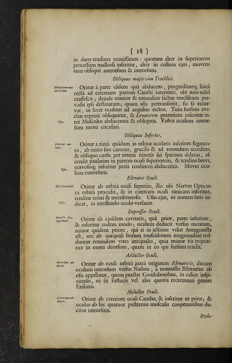 ( i8 ) in duos tendines tenuiffimos: quorum alter in fuperiorem proceffum malleoli inferitur, altet in collum ejus, movens eum oblique antrorfum & introrfum. Obliquus major cum Trochlea, oblique uBvens Oritur a parte eadem qua abducens, progrediturq^ linea intr^yfum. externam partem Canthi interioris, ubi non-nihil craffefeit 3 deinde tenuior 6c rotundior fadus trochleam per¬ vadit ipfi deftinatam5 quam ubi pertranfierit, fic fe recur¬ vat , ut fecet oculum ad angulos re6tos. Tum furfum eve¬ ctus repente obliquatur, ^Levatorem praeteriens inferiturin- ter Mufculos abducentes & obliquos. Volvit oculum intror- fum motu circulari Obliquus Ivferior, Externe 3W»- Oritur a rima qu^am in orbitae ocularis inferiore fegmen- to, ab initio fuo carneus, gracilis & ad rotundum accedens, dc obliquo curfu per totum itineris fui fpatium delatus, af- cendit paulatim in partem oculi fuperiorem, & tendine brevi, nervofoq3 inferitur juxta tendinem abducentis. Movet ocu¬ lum extrorfum. Elevator Oculi, Ehvutor Oculi. Oritur ab orbita oculi fuperius, illic ubi Nervus Opticus ex orbita procedit, & in corneam oculi tunicam inferitur, tendine tenui & membranofo. Ufus ejus, ut nomen fatis in- dicat, in attollendo oculo verfatur. Beprejfor Oculi. Tpiment' Oritur ab ejufdem cavitatis, qua prior, parte inferiore, & inferitur eodem modo 3 oculum deducit verfus mentum, minor quidem priore , qui ei in adtione velut Antagonifta eft, nec ab inaequali horuni mufculorum magnitudine red¬ duntur eorundem vires tequales , quia minor vis requiri¬ tur in motu deorfum, quam in eo qui furfum tendit. AddulUor Oculi, Oritur ab oculi orbita juxta originem Elevatoris^ ducens oculum introrfum verfus Nafum , a nonnullis Bibitorius ab ufu appellatur, quem praeftat Combibonibus, in calice infpi- ciendo, ne fit teftucis vel alio quovis recrementi genere F^datus. ' AbduUor Oculi, Oritur db exteriore oculi Cantho, & inferitur ut prior 5 & oculus ab his quatuor poftremis mufculis cooperantibus du¬ citur introrfum* Stylo-