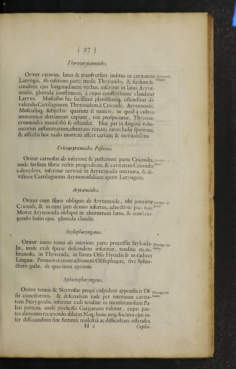 ( 27 ) . ^ ' Thyreoarytd^mides , Oritur carneus, latus & tranfverfim .inditus in cavitatem Laryngis, ab inferiore parte medii Thvreoidis, & furfum fe- eundum ejus longitudinem vedtus, inferitur in latus Aryt^e- noidis, glottida conftituenSj a cujus conftridione clauditur Larynx. Mufculus hic facillime planiffimeq^ oftenditur di¬ videndo Cartilaginem Thyreoidem a Cricoide, Arytaenoide, Mufculisq5 fubjedis: quarum fi tunicis, ne quid a cultro anatomico detrimenti capiant, rite profpiciatur, Thvrcoa- rytaenoides manifefto fe oftendet. Hoc par in Angina vehe- ‘ • mentius inflammatum,obturans rimam intercludit fpirituni, & afFedis hoc malo mortem affert certam & inevitabilem. Cricoqrytxnoides Pofiiciis, ' • *  Oritur carnofus ab inferiore & pofteriore parte Cricoidis, unde furfuna fibris red:is progrediens, & cavitatem Cricoidis^''*^ adimplens, inferitur nervose in Arytxnoidis interiora, &di- vifione Cartilaginum Arytaenoidalium aperit Laryngem. Arytdenoides. Oritur cum fibris obliquis ab Arytaenoide, ubi jungitur Cricoidi, & in eum jam denuo infertus, adneditur pari Movet Arytenoida oblique in alterutrum latus, 6c conitriii- gendo bahn ejus, glottida claudit. Stylo'pharyng(Zus. ^ Oritur initio tenui ab interiore parte proceffus Styloidz- pharyngUDi- lis, unde exili fpecie defeendens inferitur, tendine mmi- branofo, in Thyreoida, in latera Offis Hyoidis 6r in radices Linguae. Promovet contradionem OEfophag^i, five Sphin- deris gulse, de quo mox agemus. SfJmnopharyngeiis. Oritur tenuis & Nervofus prope cufpidem appendicis 0{-pharynpsD^. fis cuneiformis, d defeendens inde per internam cavita- tem Pterygoidis, inferitur exili tendine in membranofam Pa¬ lati partem, unde proficifci Gargareon videtur , cujus par- . tes alimento recipiendo dilatat.Neqj hunc neqj focium ejus in¬ fer diffecandum fine fumma molellia ac difficultate offendes. H 2 Cepha-