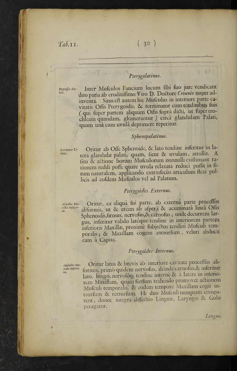 i. ■ r • ■ , \ ^ • a ' fterygolatinus. \ Deprejfor pa- Iutcr Mufculos Faucium locum fibi fuo jure vendicant duo paria ab eruditiffimo Viro D. Doc^ore Crounio nuper ad- inventa. Situs eft autem hic Mufculus in interiore parte ca¬ vitatis Offis Pteiygoidis, terminatur cum tendinibus fuis ( qui fuper partem aliquam Offis fupra didi, ut fuper tro¬ chleam quandam, glomerantur ) circa glandulam Palati, quam una cum uvula deprimere reperitur. '' Sphenopalatinis, Levatores V- Oritur ab Offie Sphenoide, 6c lato tendine inferitur in la- tera glanduk palati, quam, ficut & uvulam, attollit. A fitu & adione horum Mufculorum nonnulli exiftimant ra¬ tionem reddi poffe quare uvula relaxata reduci poffit in fi- tum naturalem, applicando extrinfecus articulum flexi pol¬ licis ad eofdem Mufculos vel ad Palatum. Pterygoides Externis. Abductor Ma- Otitur, cx aliqua fui parte, ab externa parte proceiffis aliformis, ut 6c etiam ab afpera 6c acuminata linea Oflis Sphenoidis,firmus, nervofus,& carnofus 5 unde decurrens lar¬ gus, inferitur valido latoque tendine in interiorem partem inferioris Maxilk, proxime fubjedus tendini Mufculi tem¬ poralis 5 6c Maxillam cogens antrorfum , veluti abducit eam a Capite. . Pterygoides Internis. AdduaorMa- Otitui* ktus & brevis ab interiore cavitate proceflus ali- tnferio- primo quidem nervofus, deinde carnofus,oc inleritur lato, longo, nervofoqj tendine interne Sc a latere in inferio¬ rem Maxillam, quam furfum trahendo promovet adionem Mufculi temporalis, & eodem tempore Maxillam cogit in- trorfum & retrorfum. Hi duo Mufculi nunquam compa¬ rent , donec integra diffedio Lingua:, Laryngis & Gula: peragatur. Longus.