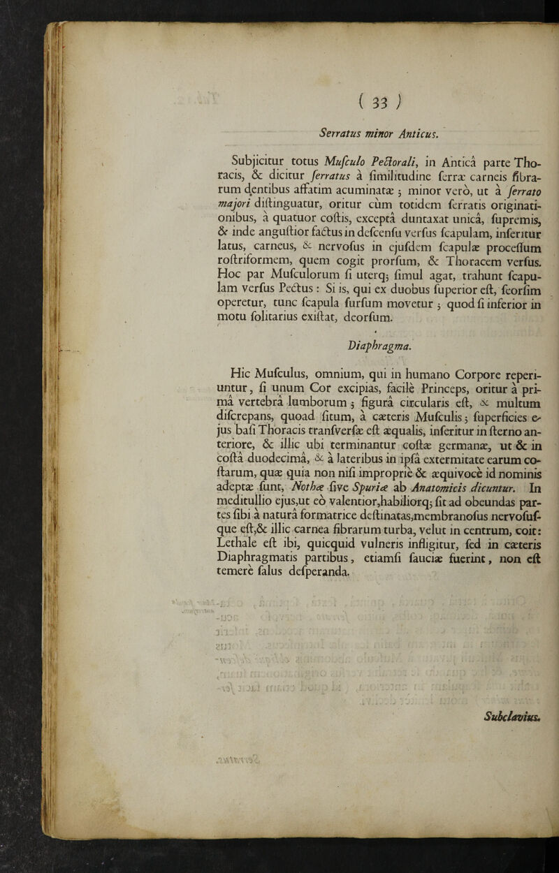{ 33 ) Serratus minor Anticus. Subjicitur totus Mufculo PeElorali, in Antica parte Tho- racisj & dicitur ferratus a fimilitudine ferrx carneis fibra¬ rum dentibus affatim acuminatae 5 minor vero, ut a ferrato majori diftinguatur, oritur cum totidem ferratis originati¬ onibus, a quatuor coftis, excepta duntaxat unica, fupremis, inde anguftior fadus in defcenfu verfus fcapulam, inferitur latus, carneus, & nervofus in ejufdem fcapulas procefium roftriformem, quem cogit prorfum, & Thoracem verfus. Hoc par Mufculorum fi uterq, fimul agar, trahunt fcapu¬ lam verfus Pedtus: Si is, qui ex duobus fuperior eft, feorfim operetur, tunc fcapula furfum movetur 5 quod fi inferior in motu folitarius cxiftat, deorfum. « Diaphragma. Hic Mufculus, omnium, qui in humano Corpore reperi- untur 5 fi unum Cor excipias, facile Princeps, oritur a prT nia vertebra -lumborum 5 figura circularis eft, multum diferepans, quoad fitum, a emeteris Mufculis 5 fuperficies jus bafi Thoracis tranfverfae eft aiqualis, inferkur in fler no an- teriqre, 6c illic ubi terminantur coftae germanse, ut & in cofta duodecima, & a lateribus in ipfa extermitate carum co* ftarum, qux quia non nifi improprie & a^quivoce id nominis adeptsE Tunt, Notha fwc Spuria Anatomicis dicuntur. In meditullio ejus,ut c6 valentiorjhabiliorq, fit ad obeundas par¬ tes fibi a natura formatrice dcftinatas,membranofus nervofuf- que eft,& illic carnea fibrarum turba, vellit in centrum, coit: Lethale eft ibi, quicquid vulneris infligitur, fed in caeteris Diaphragmatis partibus, etiamfi fauciae fuerint, non eft temere falus defperanda. dljj \\y . S - e Subclavius.
