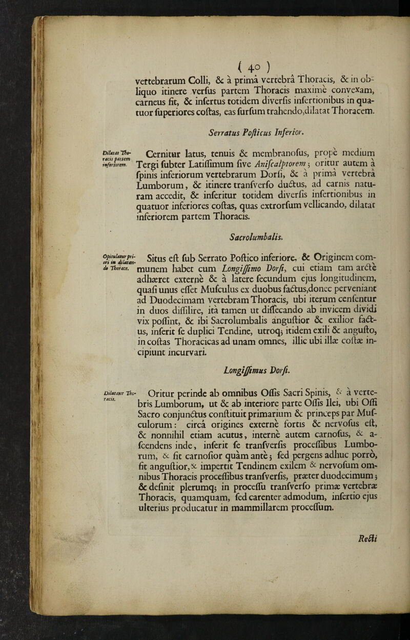 Serratus Pofticus Inferior, DiUtatThf Cernitur latus, tenuis &c membranofus, prope medium inftrtortm. Tergi fubter Latiflimum five Anifcalptore?fi 5 oritur autem a fpinis inferiorum vertebrarum Dorfi, & a prima vertebra Lumborum, 6c itineretranfverfo ductus, ad carnis natu¬ ram accedit, & inferitur totidem diverfis infertionibus in quatuor inferiores coftas, quas extrorfum vellicando, dilatat inferiorem partem Thoracis. Sacrolumhalis, Situs eft fub Serrato Poftico inferiore, & Originem com- Opitulatur pri¬ ori in MIatan- i» Tiorace. muncm habet cum Longijfmo Dorfiy cui etiam tam ardte adhaeret externe 6c a latere fecundum ejus longitudinem, quafi unus eflet Mufculus ex duobus fadtus,donec perveniant ad Duodecimam vertebram Thoracis, ubi iterum cenfentur in duos diffilire, ita tamen ut diffecando ab invicem dividi vix poffint, & ibi Sacrolumbalis anguftior & exilior fadf- us, inferit fe duplici Tendine, utroq, itidem exili & angufto, in coftas Thoracicas ad unam omnes, illic ubi illae coftae in¬ cipiunt incurvari. Longijftmus Dorfi, Oritur perinde ab omnibus Offis Sacri Spinis, a yerte- Dilatator The¬ raeis. bris Lumborum, ut & ab interiore parte Offis Ilei, ubi Offi Sacro conjund:us conftituit primarium & princeps par Muf- culorum: circa origines externe fortis 6c nervofus eft, &: nonnihil etiam acutus, interne autem carnofus, & a- fcendens inde, inferit fe tranfverfis proceffibus Lumbo¬ rum, & fit carnofior quam ante 5 fed pergens adhuc porro, fit anguftior,^ impertit Tendinem exilem & nervofum om¬ nibus Thoracis proceffibus tranfverfis, praeter duodecimum 5 & definit plerumqj in proceffu tranfverfo primae vertebrae Thoracis, quamquam, fed carenter admodum, infertioejus ulterius producatur in mammillarem proceffum. ReUi