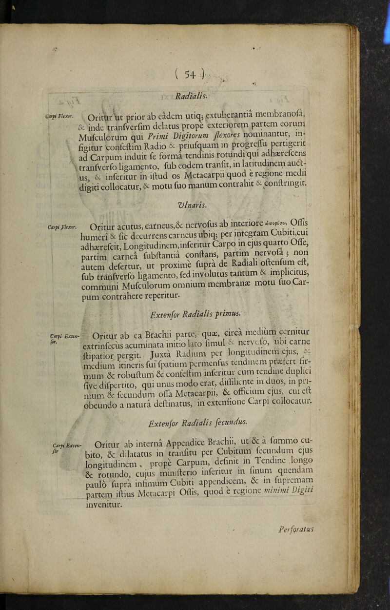 ( 54 0’: \ Radialis. €arpi Flexor. OritCir ut prior ab eadem utio, extuberantia membraiiofa, & inde tranfverfim delatus prope exteriorem partem eorum Mufculorum qui Primi Digitorum flexores nonunantur, ni* figitur'confeftim Radio ^ priufquamin progreflu pertigent ad Carpum induit fe forma tendinis rotundi qui adha^refcens ; tranfverfo ligamento, fub eodem tranfit, in latitudmeni auci- us, & inferitur in iftud os Metacarpii quod e regione medii digiti collocatur, & motu fuo manum contrahit & conllringit. Vlnaris. Carpi flexor. Oritur acutus, carneus,& liervofus ab interiore Offis humeri & fic decurrens carneus ubiq; per integram Cubiti,^i i adhairefcit, Longitudinem,inferitur Carpo in e)us quarto Ofle, i partim carnea fubftantid conflans, partim nervofa ; non autem defertur, ut proxime fupra de Radiali oflenfum eft, fub tranfverfo ligamento, fed involutus tantum & implicKus, communi Mufculorum omnium membranae motu luo Car- pum contrahere reperitur. r - - * ; ! Extenfor Radialis primus. Exut,- , Oritur ab ea Brachii partej qu*, circa mediurti cernitur extrinfeciis acuminata initio lato fimul & nervefo, uoi. carne .ftipatior pergit. Juxta Radium per longitudinem ejus, 5 ■ medium itineris fui'fpatium permenfus tendinem pr«tert hr- mum & robuftum & confeflim inferitur cum tendine duplici five difpertito, qui unus modo erat, diffiliaite in duos, in pi^ mum & fecundum olTa Metacarpii, & officium ejus cui efl obeundo a natura deftinatus, in extenfione Carpi collocatur. Extenfoy Ratiialis fecundus. carfiBxm- Oritur ab interna Appendice Brachii, ut & a fummo cu- bito & dilatatus in tranfitu per Cubitum fecunduni ejus longitudinem, prope Carpum, definit in Tendine longo & rotundo, cujus miniflerio inferitur m unum quendani paulo fupra infimum Cubiti appendicem, & in fupremam partem iflius Metacarpi Offis, quod e regione nwumi Digiu invenitur. Perforatus