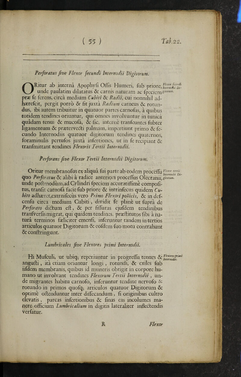 ( 55 ) Tah.22. Perforatus five Flexor fecundi Internodii Digitorum. ORitur ab interna Apophyfi Oflis Humeri, fub priore, unde paulatim dilatatus & carnis naturam ac fpcciem-s'^“- prse fe ferens, circa medium Cubiti 6c Radii, cui nonnihil ad- haerefcit, pergit porro &■ fit juxta Radium carneus rotun¬ dus, ibi autem tribuitur in quatuor partes carnofas, a quibus totidem tendines oriuntur, qui omnes involvuntur in tunica quadam tenui & mucofa, & fic, interne tranfeuntcs fubter ligamentum & praetervecti palmam, impertiunt primo fe¬ cundo Internodiis quatuor digitorum tendines quaternos, foraminulis pertufos juxta infertiones, ut in fe recipiant & tranfmittant tendines Flexoris Tertii Internodii. Perforans five Flexor Tertii Internodii Digitorum. Oritur membranofus ex aliqua fui parte ab eodem proceffu quo Perforatus dc alibi a radice anteriori procefTus Olecranii,^^>«»^«»«- unde poflmodum,ad Cylindri fpeciem accuratiflime compofi- tus, tranfit carnofa facie fub priore & intrinfecus quidem Cu¬ bito adha:ret,extrnifecus vero Frimo Flexori pollicis, & in def- ^ cenfu circa medium Cubiti, dividit fe plane ut fupra de Perforato dictum eft, & per filTuras ejufdem tendinibus tranfverfis migrat, qui quidem tendines, prseftitutos fibi a na¬ tura terminos fseliciter emenfi, inferuntur tandem in tertios articulos quatuor Digitorum & eofdem fuo motu contrahunt & conftringunt. Lumbricales five Flexores primi Internodii. Hi Mufculi, ut ubiqj rcperiunrur in progreffu tenues angufti, ita etiam oriantur longi , rotundi, & exiles fub iifdem membranis, quibus id moneris obtigit in corpore hu¬ mano ut involvant tendines Flexorum Tertii Internodii , un¬ de migrantes habitu carnofo, inferuntur tendine nervofo rotundo in primos quofq, articulos quatuor Digitorum & optime offenduntur inter dilfecandum, fi originibus cultro elevatis, parcas infertionibus finas eas incolumes ma¬ nere officium Lumbricalium in digitis lateraliter infleCfendis verfatur.
