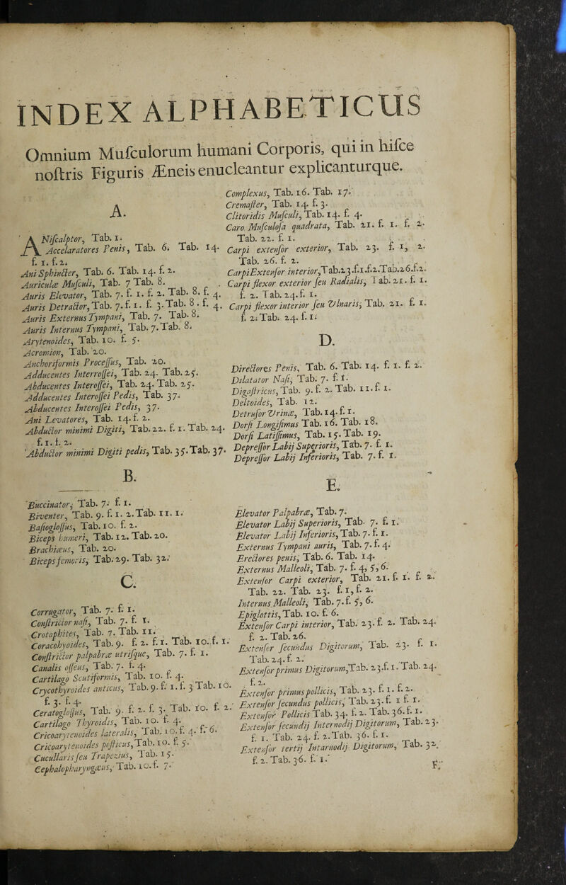 INDEX ALPHABETICUS i Omnium Mufculorum humani Corporis, qui m hifce noftris Figuris iEneis enucleantur explicanturque. A. ANifcalptor^ Tab. i. Accelaratores Penis, Tab. 6. Tab. 14* f. I. f. Xi Ani Sphin^er^ Tab. 6. Tab. 14. i. 2.* A-uriculce Mufatli, Tab. 7 Tab* -r u q E ' Auris Elevator^ Tab. 7. f. i* f- 2,. • b 4. r)(?/rdf5i?r,Tab. 7.f. i. f. 3-^ ^ 4* ExternusTympani^ Tab. 7. Tab. 0. Auris Internus Tympani^ Tab. 7. Tab, o* Arytenoides^ Tab. 10. f. 5* Acromion^ Tab. '2,0. Anchorifortnis ProceJJus, Tab. '2,0. Adducentes Interro(Jei^ Tab. ^4. Tab. 25'. Abducentes Interojfei, Tab. 2.4. Tab. zy. Adducentes Interojfei Pedis., Tab. 37* Abducentes Jnterojfei Pedis, 37- Ani Levatores, Tab. 14* b 2-- Abdutlor minimi Digiti, Tab.2,2. f. i.Tab. x4‘ £ I. b 2. 'AbduUor minimi Digiti pedis.^ Tab. 35'.Tab. 37* B. Complexus, Tab. 16. Tab. 17» Cremafler, Tab. 14. £3* clitoridis Mufculi,D2}o.i^> '■ Caro Mufculofa quadrata, Tab. xi. b i. b x. Tab. XX. f. I. • ' Carpi extenjor exterior, Tab. 23. f. 2,. Tab. x6. f. X. , CarpiExtenfor interior^ab.i3’bi*b2..TaD.x6.r.x. Carpi flexor exterior feu Radialis, 1 ab. xi. f. i. b X. Tab. 24. f. I. Carpi flexor interior fleuZtlnaris^D^^a. xi. f. i. f. xiTabi 24. f. I. D. Direblorts Penis., Tab. 6. Tab. 14' £ £ x. Dilatator Nafl, Tab. 7. f. 1- Digaflricus,D^h. 9. £ x. Tab. ii.£ i- Deltoides, Tab. ix. Detrujor Urinae, Tab. 14*£ Dorfl Longifimus Tab. 16. Tab. 18. Dorfl Latijjimus, Tab. 15. Tab. 19« Depreffor Lahij Suppioris,7. £ i. Deprejflor Lahij Injerioris, Tab. 7» £ Buccinator^ Tab. 7* £ Biventer, Tab. 9* £ ^* x.Tab. ii. 1« Baflogloflus, Tab. IO. £ x. Biceps 'hioneri, Tab. IX. Tab. xo. Brachiatus, Tab. xo. Biceps femoris, Tab. 29. Tab. 32- C. Corrugator, Tab. 7* £ Conflrictor nafl, Tab. 7. £ t. Crotaphites, Tab. 7. Tab. ii. Coracohyoides, Tab. 9* £ 2- £i* Tab. lo. t. Conflritlor palpahrae utrifque, Tab. 7. £ i. Canalis ojfeus, Tab.'7. £ 4- Cartilago Scutiformis, Tab. 10. £ 4. _ Crycothyroides anticus, Tab. 9. £' 1.1. 3 1 ab. i f. 2. £ 4- CeratogloIJus, Tab. 9- £ 2.. £ 3. Tab. to. £ Cartilago Phyroidis, Tab. 10. t. 4. Crkoarytcnoides lateralis, Tab. lo.t. 4. 1. 0. Cricoarytemides prflicus,D^h. 10. r. 5. Cucullansjeu Trapezius, 1 ab. ij. Cephalopkaryngicus,^ Tab. 1 o. i. 7. I. o. X. E; Elevator Palpabrie, Tab. 7. Elevator Labij Superioris, Tab- 7. f. i.' Elevator Labij lnjerioris,Tck)> 7* £ Externus Tympani auris, Tab. 7* £ 4* Erellores penis^^X^ih» 6. Tab. 14. Externus Malleoli, Tab. 7* £ 4>Tj . 4,, Extenjor Carpi exterior, Tab. xi. £ i* r. a. Tab. XX. Tab. 23. f. i,£ 2.. Internus,Malleoli^ Tab. 7*£ 5? Epiglottis,X2}D. 10. £ 6. - Extenfor Carpi interior, Tab, 23. f. x. Tab. 24. £ X. Tab. x6. Extenfcr fecundus Digitorum, Tab. 23. i. i- Tab. x4.f. X. c T] Extenjor primus Digitorum jXah, 23.1. i. i ab. 24.^ f* X* Extenfor primus pollicis, Tab. 23. £1. £2. Extenfor fecundus pollicis, Tab. 23.1. a £ Extenfor Pollicis Tab. 34. £ x. Tab. 36T. i, Extenfor fecundij Internodij Digitorum, Tab. 23. £ I. Tab. 24. £ z.Tab. 36. f. i- Extenfor tertij Intarnodij Digitorum, Tab. 32 f. X. Tab. 36. £ I,'