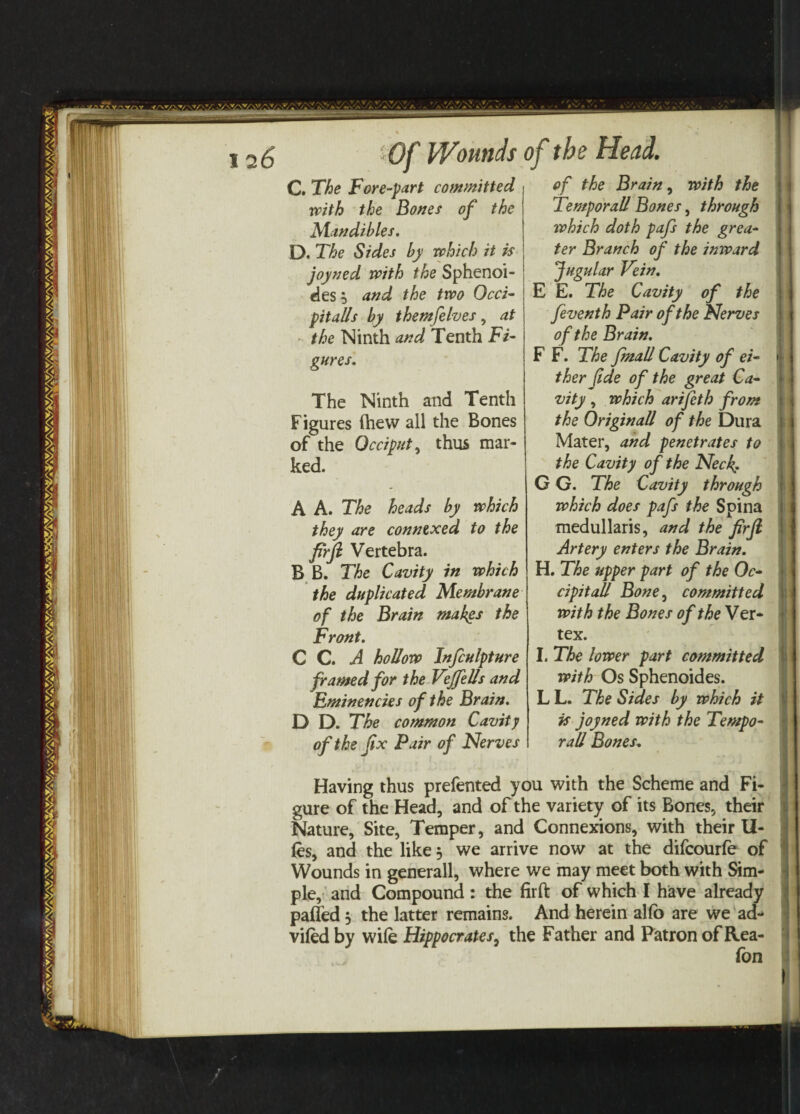 126 Of Wounds C. The Fore-part committed with the Bones of the Mandibles. D. The Sides by which it is joyned with the Sphenoi- des, and the two Occi¬ pitalis by themfelves, at the Ninth and Tenth Fi¬ gures. The Ninth and Tenth Figures (hew all the Bones of the Occiput, thus mar¬ ked. A A. The heads by which they are connexed to the firft Vertebra. B B. The Cavity in which the duplicated Membrane of the Brain mahgs the Front. C C. A hollow Infculpture framed for the Veffeds and Eminencies of the Brain. D D. The common Cavity of the fix Pair of Nerves o f the Head. of the Brain, with the Temporall Bones, through ivhich doth pafs the grea¬ ter Branch of the inward Jugular Vein. E E. The Cavity of the feventh Pair of the Nerves of the Brain. F F. The fmall Cavity of ei¬ ther fide of the great Ca¬ vity , which arifeth from the Origin all of the Dura Mater, and penetrates to the Cavity of the Neck. G G. The Cavity through which does pafs the Spina medullaris, and the firfi Artery enters the Brain. H. The upper part of the Oc- cipitall Bone, committed with the Bones of the Ver¬ tex. I. The lower part committed with Os Sphenoides. L L. The Sides by which it is joyned with the Tempo- rad Bones. Having thus prefented you with the Scheme and Fi¬ gure of the Head, and of the variety of its Bones, their Nature, Site, Temper, and Connexions, with their fi¬ les, and the like 5 we arrive now at the difcourfe of Wounds in generall, where we may meet both with Sim¬ ple, and Compound: the firft of which I have already palled 3 the latter remains. And herein alio are we ad- viled by wile Hippocrates, the Father and Patron of Rea- fon