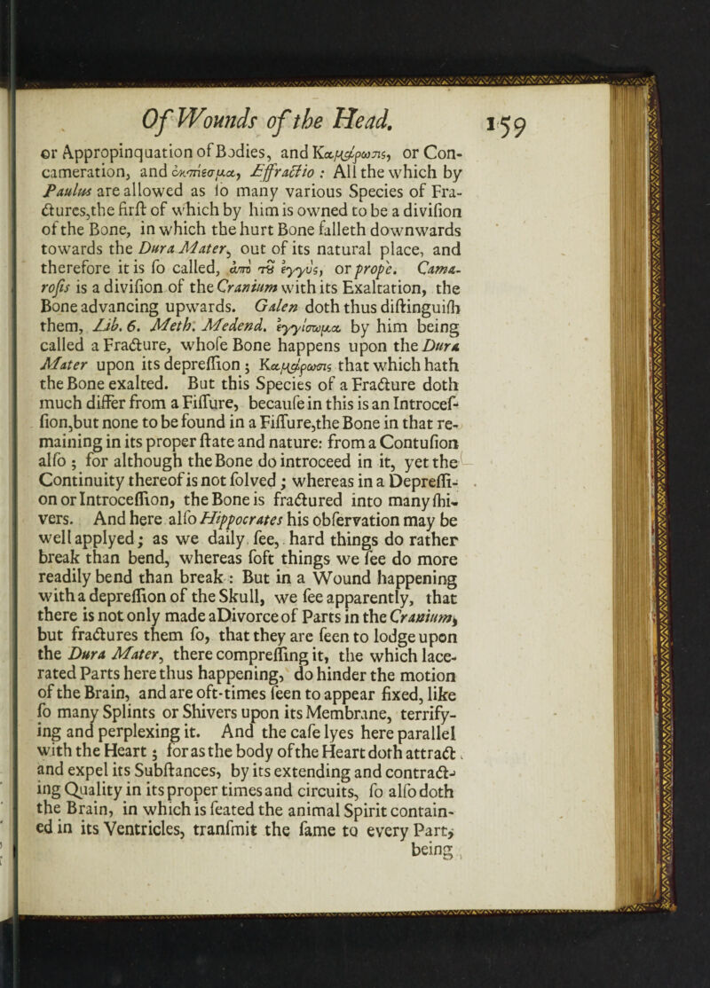 or Appropinquation of Bodies, and Ka/^&w, or Con- cameration, and cH'meo-pct, Effr actio : All the which by Paulus are allowed as io many various Species of Fra¬ ctures,the firB of which by him is owned to be a divifion of the Bone, in which the hurt Bone faileth downwards towards the Dura Mater, out of its natural place, and therefore it is fo called, am t£ eyyvs, or prope. Cama- rofis is a divifion of the Cranium with its Exaltation, the Bone advancing upwards. Galen doth thus diftinguifb them. Lib. 6. Meth. Medend. tyylowfia, by him being called a FraCture, whole Bone happens upon the Dura Mater upon its depreffion; Kccf^pams that which hath the Bone exalted. But this Species of a FraCture doth much differ from a Fiffure, becaufe in this is an Introcef- fion,but none to be found in a Fiffure,the Bone in that re¬ maining in its proper ftate and nature: from a Contufion alfo ; for although the Bone dointroceed in it, yet the Continuity thereof is not folved; whereas in a Depreffi- . onorlntrocedion, the Bone is fractured into many Oli¬ vers. And here alfo Hippocrates his obfervation may be wellapplyed; as we daily fee, hard things do rather break than bend, whereas foft things we fee do more readily bend than break : But in a Wound happening with a depreflion of the Skull, we fee apparently, that there is not only made aDivorce of Parts in the Cranium^ but fraCtures them fo, that they are feento lodge upon the Dura Mater, there compreffmg it, the which lace¬ rated Parts here thus happening, do hinder the motion of the Brain, and are oft-times feen to appear fixed, like fo many Splints or Shivers upon its Membrane, terrify¬ ing and perplexing it. And the cafe lyes here parallel with the Heart 5 for as the body of the Heart doth attract, and expel its Subftances, by its extending and contract-* ing Quality in its proper times and circuits, fo alfo doth the Brain, in which is feated the animal Spirit contain¬ ed in its Ventricles, tranfmit the fame to every Part* being;