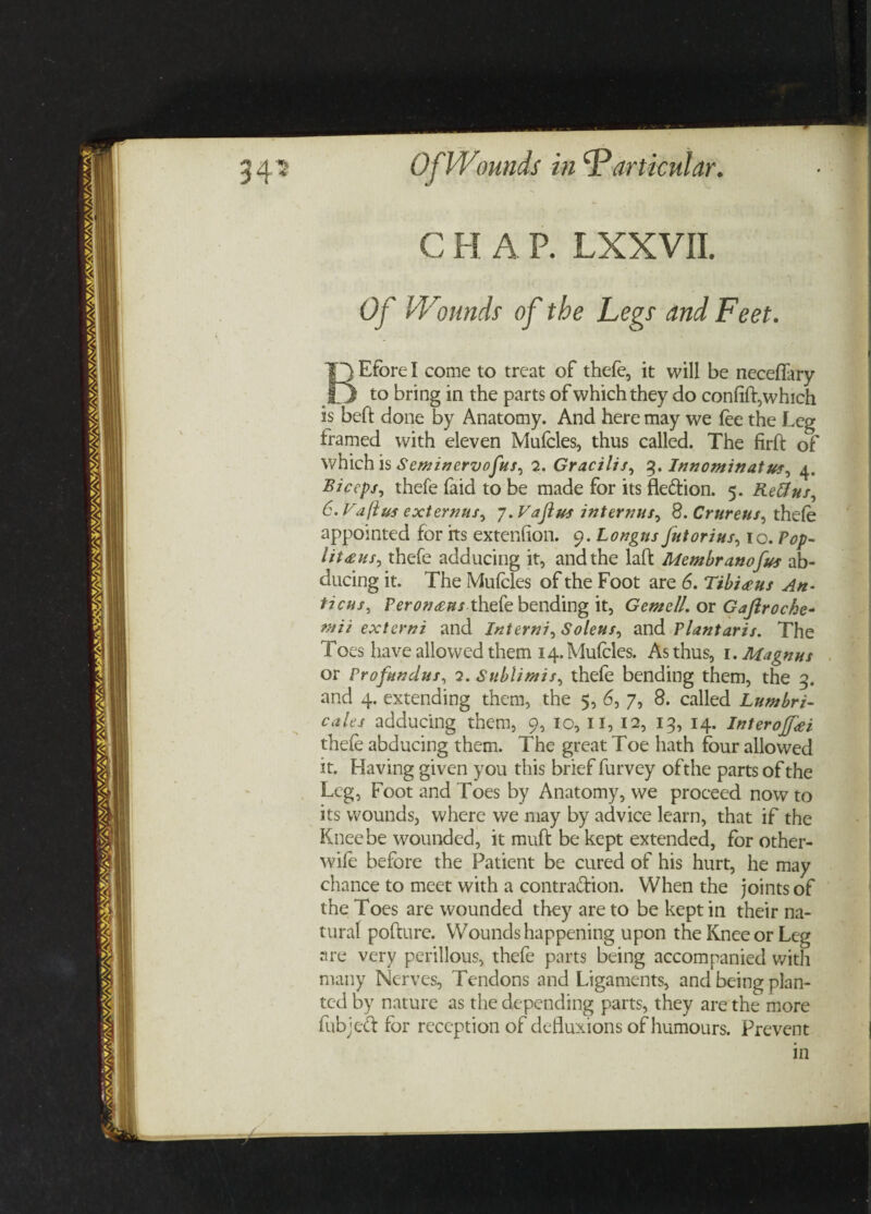 C H A P. LXXVII. Of Wounds of the Legs and Feet. BEfore I come to treat of thefe, it will be neceflary to bring in the parts of which they do confift,which is belt done by Anatomy. And here may we fee the Leg framed with eleven Mufeles, thus called. The firft of which is Semin ervofus, 2. Gracilis, 3. Innominatus, 4. Biceps, thefe faid to be made for its fleftion. 5. Re&us, 6. Va ft us ext emus, 7.Vaflus interims, 8. Crureus, thefe appointed for its extenfion. 9. Longns Jut or i us, 10. Pop- lit# us, thefe adducing it, and the laft Membranofus ab¬ ducing it. The Mufeles of the Foot are 6. Tibi#us An¬ taeus, Peron<eus thefe bending it, Gemell. or Gajlroche- mii externi and Interni, Soleus, and Plantaris. The Toes have allowed them 14. Mufeles. As thus, 1. Magnus or Profundus, 2. Sublimis, thefe bending them, the 5. and 4. extending them, the 5, 6, 7, 8. called Lumbri- cults adducing them, 9, 10, 11, 12, 13, 14. Interoffei thefe abducing them. The great Toe hath four allowed it. Having given you this brief furvey ofthe parts of the Leg, Foot and Toes by Anatomy, we proceed now to its wounds, where we may by advice learn, that if the Knee be wounded, it muft be kept extended, for other- wife before the Patient be cured of his hurt, he may chance to meet with a contraction. When the joints of the Toes are wounded they are to be kept in their na¬ tural pofture. Wounds happening upon the Knee or Leg are very perillous, thefe parts being accompanied with many Nerves, Tendons and Ligaments, and being plan¬ ted by nature as the depending parts, they are the more fubject for reception of defluxions of humours. Prevent in