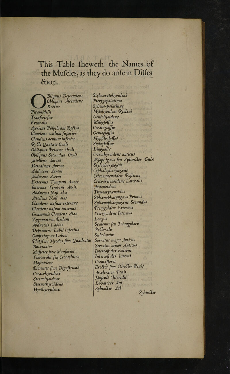 This Table fheweth the Names of the Mufcles,as theytlo arifein Dilfei ftion. i O^liquHS T>efcendeijs Obliquus Afcendens ReBus ^iramidilk 'Tranfverfns Frontalis Jperiens Talpebram Claudens oculum fuperior Claudens oculum inferior Sli Quatuor Oculi Obliquus primus Oculi Obliquus Secundm Oculi Jttollens Aurem Detrahens Aurem Adducens Aurem Ahducens Aurem Externus Tympani Aurif Jnternus Tympani Auris, Abducens 'Naji alccs Attollens ISlaji alas Claudens nafum externus Claudens nafum internus Communis Claudens Alas Z^ygomaticm ^olani Abducens Labios J)eprimens Labii inferius Confiringens habios ^latyfma My odes five Quadratus buccinator Maffeter five Manforius Temporalis feu Crotaphites Majioideus biventer five Vigaftricus Coracohyoideus , Stsrnohyoideus Sternothyroideus Hyothyroidem Styloceratohyoideus bterygopalatinus Spheno-palatinus Mylohyoideus bfolani Geniohyoideus Miloglojfus Ceratogloffus Geniogloffus Hypfilogloffus Stylogloffus Linguatis Cricothyroideus anticus Mfophig<£US fen Sphin^er Cul<^ Stylopharyngdeus Cephalopharyngdcus Cricoarytenoideus boflicm Cricoarytenoideus Lateralis Arytenoideus Thyroarytdenoidus Sphaenopharyng^us brimus Sphdenopharyngi£US Secundus bterygoideus Externus Fterygoideus Internus feu Triangularis beBoralis Subclavius Serratus major Anticus S err at us minor Anticus Intercofiales Bxterni Intercoftales Interni Cremaferes EreBor five DireSlor benii Accelerator fenis Mufculi Clitoridk Levatores Ani SphinBer Ani Longus Scalenus SphinBer