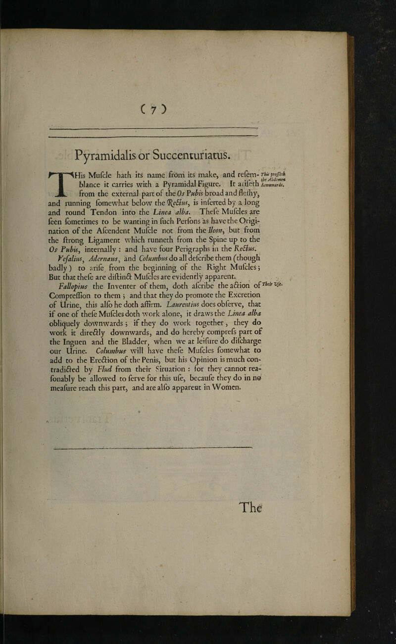 C 7) Pyramidalis or Succenturiatus. THis Mufcle hath Its name , from its make, and blance it carries with a Pyramidal Figure* It aiifeth dmnvjurds, from the external part of the Os Vubis broad and flethy, and running (bmewhat below the is inferred by a long and round Tendon into the hinea alba. Thcfe Mufcles are leen lometimes to be wanting in fuch Perlbns as have the Origi¬ nation of the Alcendent Mufcle not from the but from the ftrong Ligament which runneth from the Spine up to the Os Pubis^ internally : and have four Perigraphs in the ReBus. Vefalim^ Adernam^ and do all defcribe them (though badly ) to a rife ^ from the beginning of the Right Mufcles 5 But that thefe are diflin^i: Mufcles are evidently apparent. , , Fallopius the Inventer of them, doth afcribe the action o^s:betTV[i. Compreffion to them \ and that they do promote the Excretion of Urine, this alfo he doth affirm. Laurentm does obferve, that if one of thefe Mufcles doth work alone, it draws the Lima alba obliquely downwards j if they do work together, they do work it dire£i:ly downwards, and do hereby comprefs part of the Inguen and the Bladder, when We at leifure do difcharge our Urine. Columbus will have thefe Mufcles fomewhat to add to the Ere^lion of the Penis, but his Opinion is much con- tradi^fed by Find from their Situation : for they cannot rea- fonably be allowed to ferve for this ufe, becaufe they do in n® meafure reach this part, and are alfo apparent in Women.