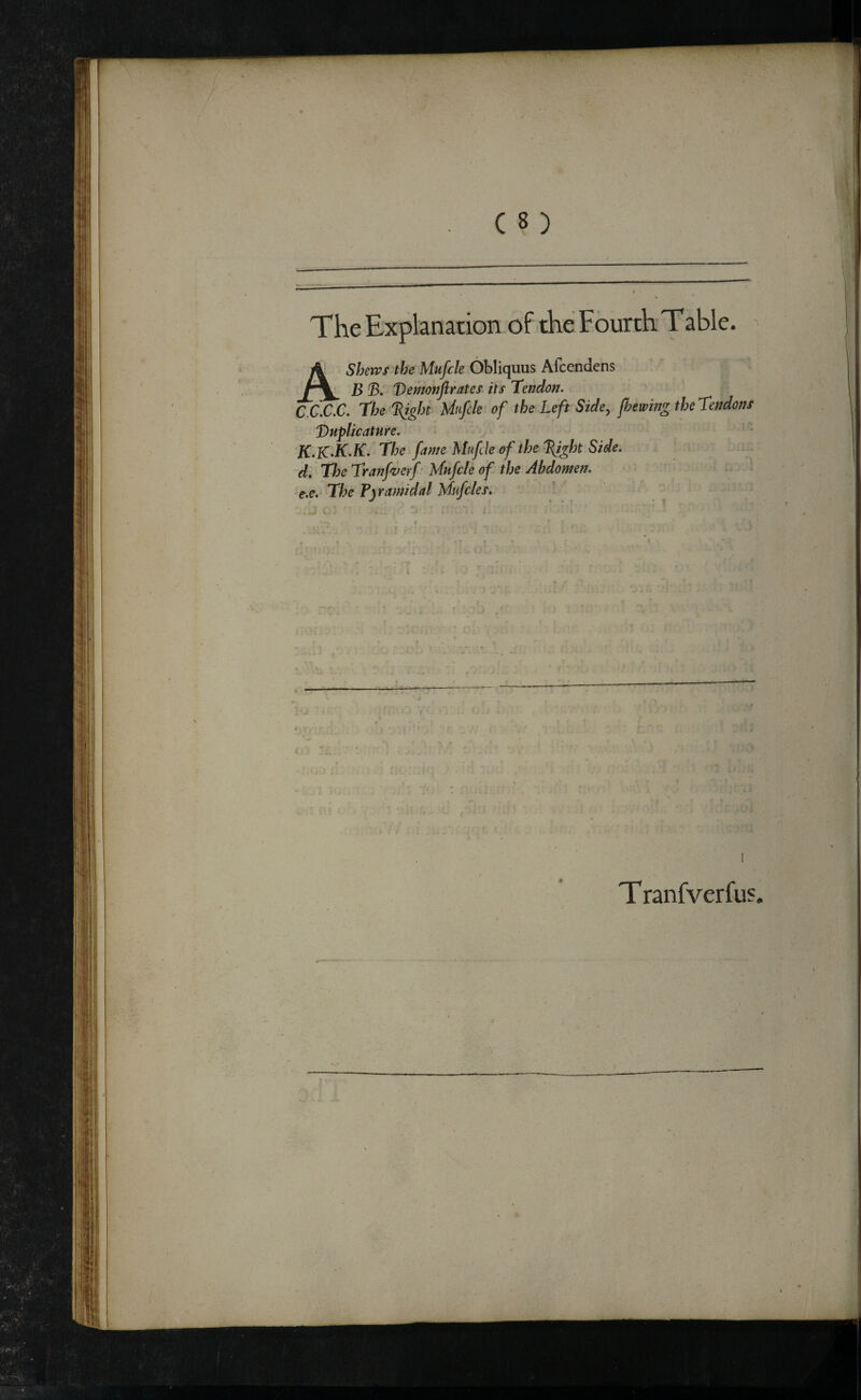 AShenPS^he Mufcle Obliquus Afcendens I B (B, Bemofjfirates its Tendon. C.C.C£. the ^ght Mufcle of the Left Side, fhewing Buplicature. K.K>K.K. The fame Mufde of the B^ght Side, d. The Tranfverf' Mufcle of the Abdomen, e.e. The Pyramidal Mnfcles, .  . ♦ » .A - • the Tendons ' r ’ A 7 ■ / ■><1 fjiy T ranfverfus.