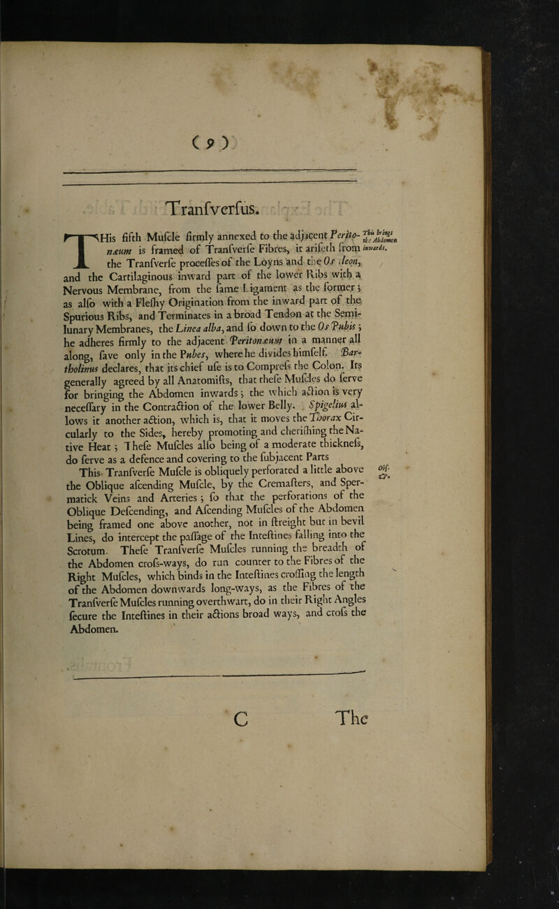 TranfverfuSi - jt. THis fifth Mufcle firmly annexed to the adj;icent?^r//^- nmm is framed of Tranfverfe Fibres, it arifeth from the Tranfverie proceflesof the Loyns and* the 0/ deon^^ j and the Cartilaginous inward part of the lower Ribs with a Nervous Membrane, from the fame Ligament as the foritieF 5 as allb with a Flefliy Origination from the inward part of tho Spurious Ribs, and Terminates in a broad Tendon at the SemL lunary Membranes, the htnea alha^ and io down to the Os ^ he adheres firmly to the adjacent ^eritonmm in a manner all along, fave only in the where he divides bimfelf. tholinus declares, that its chief ufe is to Comprefs the Colon. Its generally agreed by all Anatomifts, that rhefe Mulcles do (erve for bringing the Abdomen inwards, the which awlion is very neceflary in the Contraction of the lower Belly. . Spgelim al¬ lows it another aCtion, which is, that it moves the ^tjorax Cir¬ cularly to the Sides, hereby promoting and cheriihing the Na¬ tive Heat 5 T hele Mulcles alio being of a moderate thicknels, do ferve as a defence and covering to the fubjacent Parts , This. Tranfverfe Mufcle is obliquely perforated a little above the Oblique alcending Mufcle, by the Cremafters, and Sper- matick Veins and Arteries j lo that the perforations of the Oblique Defcending, and Alcending Mufcles of the Abdomen being framed one above another, not in llreight but in bevil Lines, do intercept the paflage of the Inteftines falling into the Scrotgm. Thefe Tranfverfe Mufcles running the breadth of the Abdomen crofs-ways, do run counter to the Fibres of the Right Mulcles, which binds in the Inteftines croifing the length of the Abdomen downwards long-ways, as the Fibres of the Tranfverie Mufcles running overthwart, do in their Right Angles fecure the Inteftines in their aClions broad ways, and crofs the Abdomen. C The