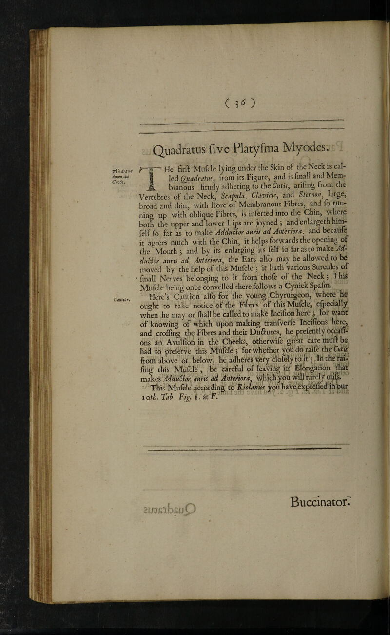 ( 3^^ ) Tbif drav'S down the Cheek., CiUtiov. Quadratus five Platyfma Myodes. He firfl: Mufcle lying under the Skin of the Neck is cal- I led Quadram^ from its Figure, and is fmall and Mem- fSL branoUs firmly adhering to the CutiSy ariling from the Vertebres of the Neck, Scapula. Claviclc^y and Stenion^ large, broad and thin, with ftore of Membranous Fibres, and fo run¬ ning up with oblique Fibres, is inferred into the Chin, where both the upper and lower L ips are joyned ^ and enlargeth hiiii- felf fo far as to make AdduSlor anris ad Anterior a, and becaulc it agrees much with the Chiii, it helps forwards the opening of the Mouth , and by its enlarging its (elf io far as to make Ad-' duoior attris ad Anteriora, the Ears alfo may be allowed fo be moved by the help of this Nlufcle ^ it hath various Surcules of finall Nerves belonging to it from thofe of the Neck j T hiS Mufcle being once convelled there follows a Cynick Spafiti. Here’s Caution alfo for the young Chyrurgeon, where he ought to take notice of the Fibres' of this Mulele, efpecially when he may or fhallbe called to make Incifionhere ^ for want of knowing of which upon making trahfverfe Iftcifions here, and -crofllng the Fibres and their Duftures, hejprefently oCcan* ons an AvuifidAih the. Checks, btherVife gteht^ a^^ had to pfefetve this Mufcle;, for wHither you do raife the frdrfl^'above^, or, below, lie^a^eres very''clbfety td it, In the Kva cif ImviVict its Fidn^ation thaw zrjjrabfifjX) Buccinator^