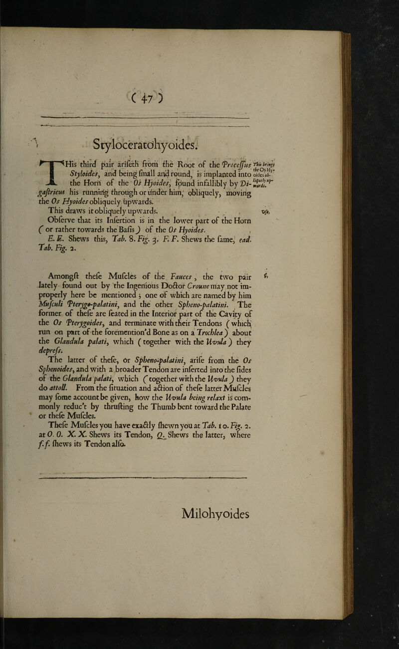 / \ C 47 ) 1^ jL Styloceratohyoides: THis third pair ariietK from the Root of the Trocejpis StyhldeSj airid being finill and rounds is implanted into oidcsoi- theHorri of the Os tiyoides, found infallibly by gafiricm his runnirig through or dhder him; obliquely, moving the 0/obliquely upwards. This draws it obliquely upwards. • j » M*’ Oblerve that its Inlertion is in the lower part of the Horn ( or rather towards the Bafis^ of the Os Hyoides. E. E. Shews this, Tab. 8. Fig. K F. Shews the fame; ead. Tab. Fig. 2. Amongft thefo Mufclts of the, Fauces, the two pair lately found out by ‘the Ingenious Dodor Cri)««emay,noc im¬ properly here be mentioned , one off which are named by him Mufculi ^teryg0~palatiniy and the other Spheno-palatm. The former of thefo are feated in the Interior part of the Cavity of the Os Tterygeides^ and terminate with their Tendons ( which , run on part of the foremention’d Bone as on a Frochlea^ about the Glandula palati^ which (together with the U'z/ula ) they deprefsi - The latter of thefe, Or Spheno^palaiini^ arife from the; Os and with a broader Tendon are inferted into the fides of the Glandula palati.^ which (together with the Uvula ) they do attoU. From the fituation and adion of thefo latter Mulcles may fbme account be given, how the Uvula being relaxt is com¬ monly reduc’t by thrufting the Thumb bent toward the Palate or thefe Mufcles. Thefe Mufcles you have exadily fhewnyou at Tab. i o. Fig. 2. atO. 0. X.X. Shews its Tendon, 2:^ Shews the latter, where f.f. fhews its Tendon alfb. Milohyoides