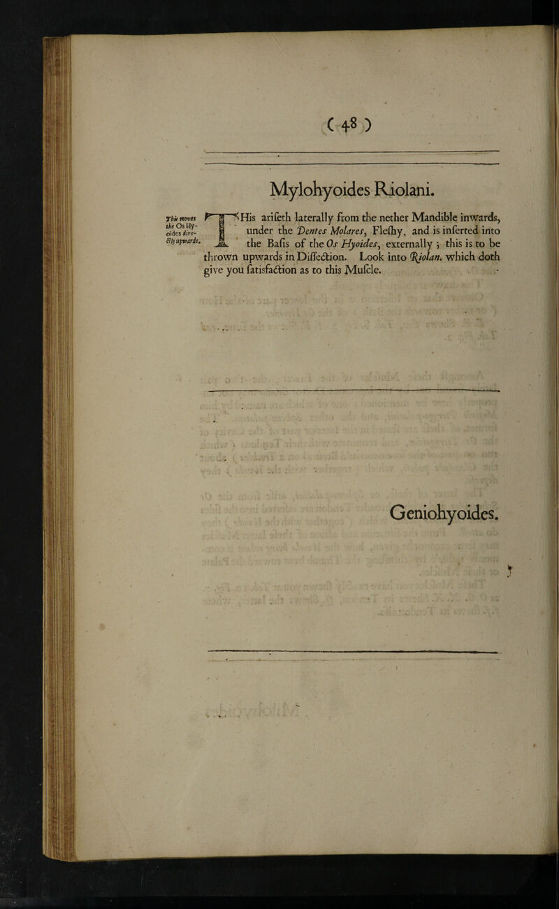 ( +8 ) / r f lo ^His arifeth laterally from the nether Mandible inwards, under the Dentes Molares^ Flelhy, and is inferted into the Bafis of the Os Hyoides^ externally i this is to be thrown upwards in Difle^on. Look into Riolan, which doth give you fatisfadtion as to this Mulcle. Thit moves the Os Hy- oides dire- , i . V •* f ♦
