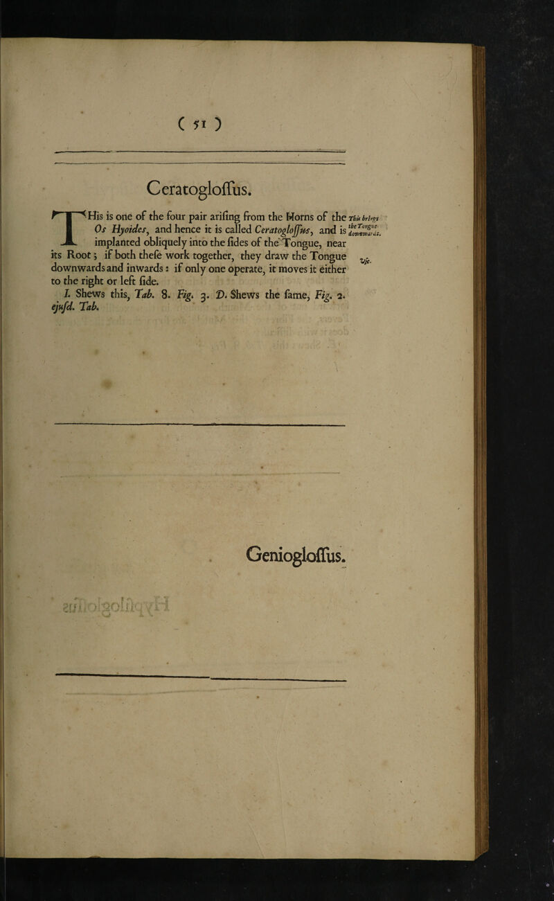 ( 51 ) THis is one of the four pair arifing from the Horns of the Thi* brhp Os Hyoides^ and hence it is called Ceratoglojjusy and isfowSL ' implanted obliquely into the fides of the' Tongue, near its Root i if both thefe work together, they draw the Tongue downwards and inwards: if only one operate, it moves it either to the right or left fide. r /