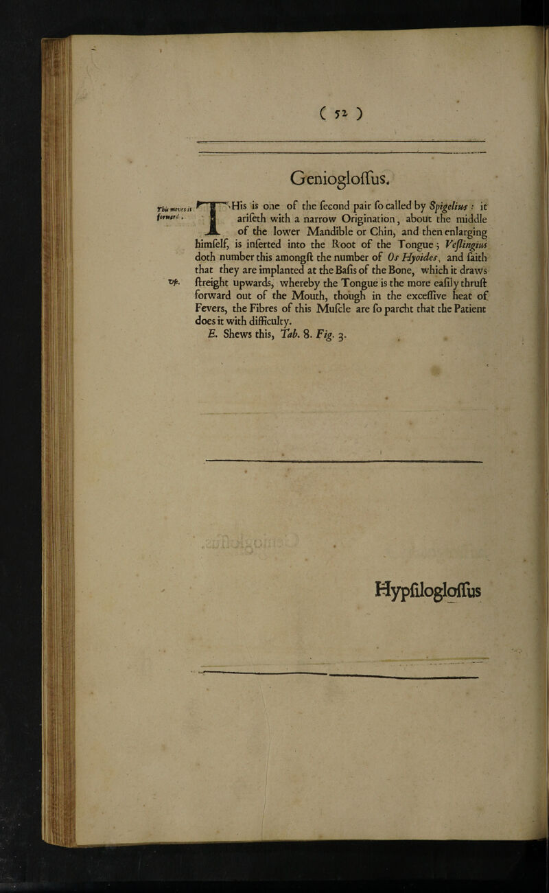Thu mevetit fotvutd , nHis is one of the fecond pair fo called by : it arifeth with a narrow Origination, about the middle of the lower Mandible or Chin, and then enlarging himfelf, is inferred into the Root of the Tongue j Veflingim doth number this amongft the number of Os Hyaides, and faith that they are implanted at the Bafis of the Bone, which it draws ftreight upwards, whereby the Tongue is the more eafily thruft forward out of the Mouth, though in the exceffive heat of Fevers, the Fibres of this Mufcle are fo parcht that the Patient does it with difficulty. H. Shews this, Tab, 8. Fig. 3. Hypfilogloflfus
