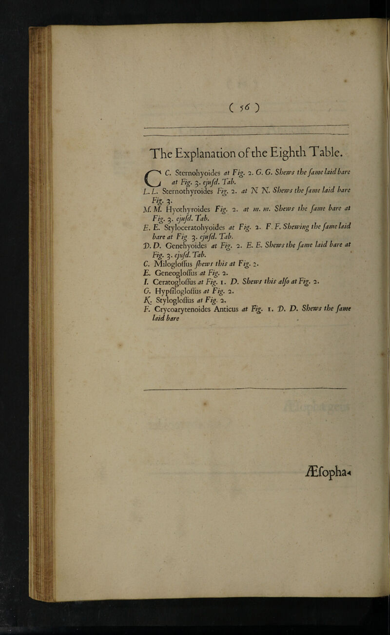 ( ) / The Explanation of the Eighth Table. CC. Sternohyoides at Fig. 2. G. G. Shews the fame laid bare at Fig. 5. ejtifd. 'Tab. L.L. Sternothyroides Fig. 2. at N TvT. Shews the fame laid bare Fig. 3. M M. Hyothyroides Fig. 2. at m. m. Shews the fame bare at Fig. 3. ejufd. Tab. B.E. Styloceratohyoides at Fig. 2. F.F. Shewing the fame laid bare at Fig 3. ejufd. Tab. T. D. Genehyoides at Fig. 2. E. E. Shews the fame laid hare at Fig. ejtfd.Tab. C. MiloglofFus fhews this at Fig. 2. E. Geneoglofllis Fig. “2. I. Ceratogloflus at Fig. i. D. Shews this alfo at Fig. 2. G. HypfilogloflLis at Fig. 2. Styloglofliis at Fig. 2. F. Crycoarytenoides Anticus at Fig. i. D. D* Shews the fame laid bare f. iEfopha-<