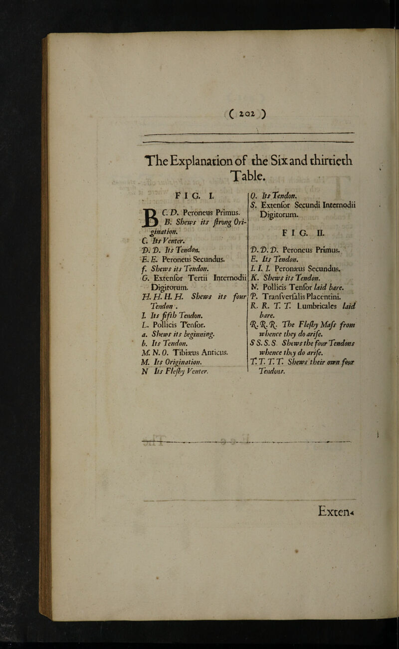 - — - , The Explanation of the Six and thirtieth Table. FIG. I. Q. Its Tendon. S. Extenfor Secundi Internodii Ty C AAPcroncus Primus. Dieitorum. j II. Shews its Jirong Ori- ' '’ginatiqm F I G. II. “C lis Venter^ D. 2). Its Tendon. D.,D.D. Peroneus Primus. ‘ B. Peroneus Secundus. E. Its Tendon. f. Shells its Tendon. 1.1.1. Peronaeus Secundus. G. Extenlbr Tertii Internodii K. Shews its Tendon. Digitorum. H. Pollicis Tenfor laid bare. Ti. H. H. Shews its four T. TranfverfalisPlacentini. Tendon . R. R. T. T. Lumbricales laid J. Its jifth Tendon. bare. L. Pollicis Tenfor. %. The Flefhy Mafs from a. Shews its beginning. whence they do arife. b. Its Tendon. S S. S. S. Shews the four Tendons M. N. 0. Tibixus Anricus. whence they do arife. M. Its Origination. T.T.T.T. Shews their own four N Its Flefjy Venter. 1 Tendons. V-’i-i ?.- ^ - . - \ ■ Exten-*
