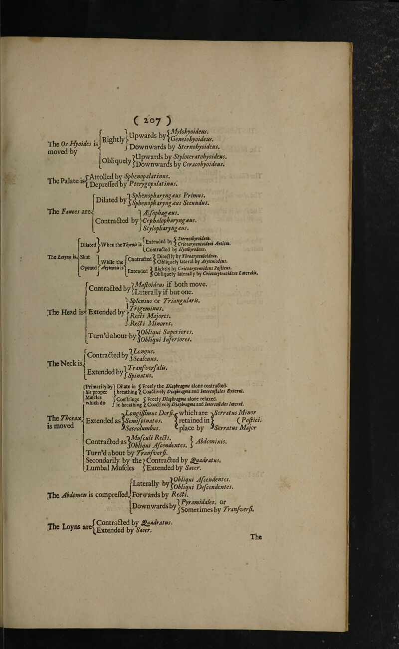 ( i07 ) f In j r \MylohyoUtmi r. ZJ ^nGeneioh^^^ The Os Hyotdes is. i Downwards by Sternohyotdeus, moved by J 110/ t j Ohl* ' 1 ?blpwards by queiy yDownwards by CerMohyoidetts. -T*u 1 . • ^httoWQdihY SphempaUtinus. The Palate ^^i^DeprelTed by Pteyygo^AUtinnsl The Fauces are^* j 1- iSphenopharym^us Primus, I Dilated ^YlspfjeJpharyng^us Secundus, jEfophagaus, r-' ^ CL j 1 Ma toideus \l bC Comraaedby^Laterallyifbut j Contracted by yCephdopharyngaus. J Stylopharyngmis, ) fc f- ritfi h S^f^^othyroideid. Dilated S When the TbyroU is; \ Cricoarytenioidm AntictU. . J CContraftcd h'j Hyothyrodeus, The lAfyn* is J Shut 1 rrnntradled X Direaiy by Throarytenioideus. ' J I While thej 5 Obliquely lateral by Aryteniodeus. I Opened f ArytenoUisi ^ Rightly by Cricoarytenoideus Pefticus. j^txtenaca ^obliquely laterally by if both move. ^ > • one. Splenius or Triangularis, Extend.dby[£i-4-„. J RePli Minores. TurnMabo.tby]°r:.^^-^r f Contracted by ^ ^ S Scalenus, The Neck isj - [Extended ■Primarily byl Dilate in C Freely the DUfhragm alone contrafled: • ^ I • . > ^-.1. rl , ■ — • « The Head is< his proper (^breathing 1 Coaaively Piaphragmn and Intercoflaks Externi. • Conftringc 5 Freely Diaphragma alone relaxed. (which do J jj, breathing i Coaftively Diaphragma and Intercofiaks Interni. jLongiFimus Dorfi.r which are -^Serratus Minor X 11c -a '■’vf Extended as ^emifpinatus, ^ retained in > ( Pojlici, IS moved ^Sacrolumbus. ^ place by ^Serratus Major Contraaed ^^}oHiq!‘iJffj,'d.ntes. 1 Turn’d about by Tranfverfi. Secondarily by the7 Contracted by ^adratusi .Lumbal Mulcles 5 Extended by Sacer. Jhe Abdomen is comprefled j Forwards by Re£ii. Ct 11 1 lObliqui Afeendentes. Laterally by|o^,,- liefcendentes. i rx J u 1 Pyramidales, or [^Downwardsbyj3^^^^.^^^j^y T .. f Contracted by Shadratus, The Loyns