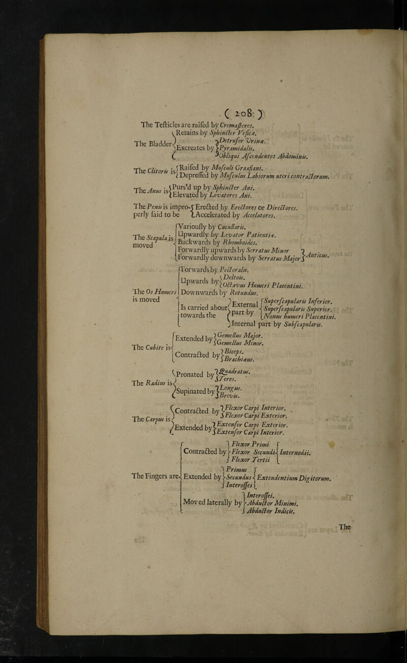 - ( 2o8; ) The Tefticles are railed by Crtmafieres. (Retains by S^h'mBtr Vefic^. ’ . TheBIaclder)p^ , -iP^ruforVrin^. >Excreates by ^ ^Obliqui JfcendeKtes Abdominis. The Clitoris is^ GraAfiani. \ DeprefTed by Mufculm Labiortsm uteri contractor urn. Thei^«« ijjPurs’d im by Am. ■ i Elevated by Levatores Am, The Penis IS impro-C Eredled.by EreCtores Or Direct ores. perly laid to be 1 Accelerated by Accelatores. 'Varioufly by Cue till arts. The &W4 is, ' ■. . ' moved ^ -BacKwards by Rhomboides. Forwardly upwards by Serratus Minor l. . - (.Forwardly downwards by Forwards by Pectoralis. Upwards Plaeentini. Downwards by Rotundus. ^External \^‘*P^^f^^p^taris Inferior, Is carried about! , <j Superfcapularis Superior. towards the f ^ ^ ^ '{_Nonus humeri Plaeentini. j Internal part by Suhfcapularts. The Os Humeri is moved The Cubite is<l [Extended by ! ■' h Gemellus Minor, The Radius is 1 Contraded I ■'3 nrachiaus. (Pronated ■' SIerts. The Carpus is; . ([Contraaed bylFk^orC^rpUmenor. • 1 « ■' S rlexor Carpi Exterior. iS. y ^ /Extended bylf“^’'' L ^ S Extenjor Carp, i Exterior, 'i Interior. The Fingers are*; 1 Flexor Primi f Contracted by \ Flexor Secundi^ Inter nodi i, j Flexor Tertii ^ *1 Primus ,r Extended by )>Secundus\ ExtendentiumDigitorum. J Interojfei [ ] Interojfei, Mov ed laterally by >AbduCtor Minimi, j AbduCtor Indicts, T riT