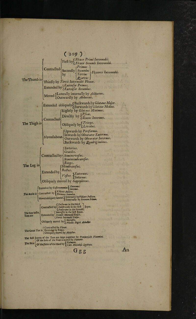 TheThumb is< ^\Fkxor Sectmdi Internodii. Contraaed<l fecondly 1 I„,er»oiii. by 11 erttits j . • \^mrtus j Thirdly by Tertii Internodii Flexor. ^ 111^ Extenfor Primus. Extended Secundus. internally by Adducens. Moved yLaterally (.Outwardly by Abducens. ' .111- 1 rBackwardsbyG/z^/rf^iMt/V. Extended y'|^porwardsbyG//^/'^Mfilfe<3^/W. TRightly by Gluteus Minimus. Uterms. ,, The Thigh'is< Contraded^i [obliquely by{2;X/. The Leg is rUpwards by Piriformis. ^, J , I Inwards by Obturator Externus. Moved about<j outwards by Obturator Inter ms. iBackwards by Huadrigiminus. f KSartorius. I Gracilis. j Contra£ted by*! Seminervofus. Stmimembranofus. yPicep^ r Membranofui, 1 Extended by] VAt US <T ^ clnternus. (_Obliquely moved by Suppopliteus. f Extended by Gafierocnemitu^ Jhe Ancle is*j Contradlc y Sccmdia. MovcdobU,»=.,U.cra,^“y;j^^^^^^ ' Externus. * hternus. Frhmi {- f Terforans in the third *> I Contrafled by^ Lumbricales in the firft [ Joynt. 1 in the fccond’) The four leffcr J (Interofei in the firft Joynt. . Toes are 1 Extended by' Secunii Internodii Tenjor. {.Tertii Internodii Tensor. ^Obliquely moved 'o^\^S^£'j)iziti AbduSor. ( Contradled by Flexor. The Great Toe is' Extended by Tenfor. (obliquely moved by AbduUor. The firft Joynts of the Toes are kept together by TranfverfAlie PJacmini. . y Of the Sole of the Foot is moved by FUnurit. The Skin the Palm of the Hand \cm‘^MufcuIefa Qt^idnu.