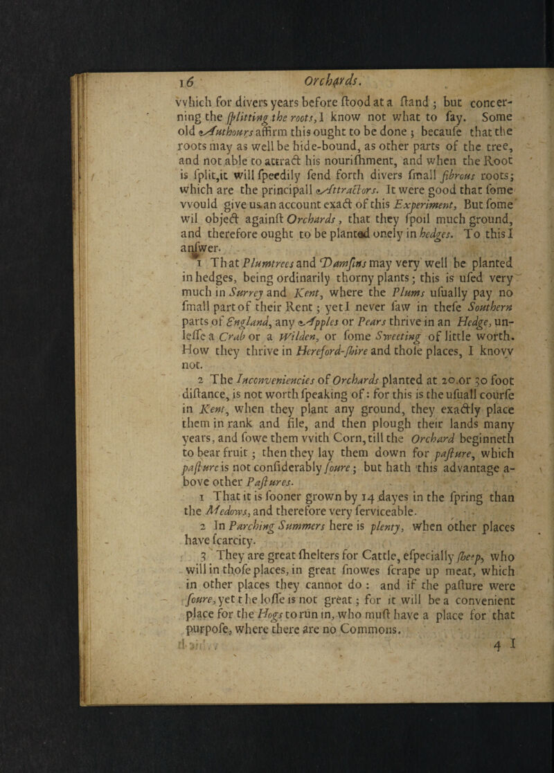 1 which for divers years before flood at a fland ; but concer¬ ning the /putting the roots, \ know not what to fay. Some old tAuthours affirm this ought to be done $ becaufe that the roots may as well be hide-bound, as other parts of the tree, and not able to attrad his nourifhment, and when the Root is fplit,it willfpeedily fend forth divers fmall fibrous roots; which are the principall <tAttraclors. It were good that fome would give us.an account cxad of this Experiment, But fome' wil objed againfl Orchards, that they fpoil much ground, and therefore ought to be planted onely in hedges. To this I anfwer. 1 That Plumtrecs and (Damfirts may very well be planted in hedges, being ordinarily thorny plants; this is ufed very much in Surrey and Kent, where the Plums ufually pay no fmall part of their Rent; yeti never law in thefe Southern parts of England, any Apples or Pears thrive in an Hedge, un- ielfea Crab or a Wilden, or fome Sweeting of little worth. How they thrive in Hereford-flnre and thole places, I know not. 2 The Inccnveniencies of Orchards planted at 20.01* 3.0 foot diftance, is not worth fpeaking of: for this is the ufuall courfe in Kent, when they plant any ground, they exadly place them in rank and file, and then plough their lands many years, and fowe them with Corn,till the Orchard beginneth to bear fruit • then they lay them down for pafture, which pafiure is not confiderably foure; but hath 'this advantage a- bove other Pastures- 1 That it is fooner grown by 14 dayes in the fpring than the Afcdoivs, and therefore very ferviceable. 2 In Parching Summers here is plenty, when other places have fcarcity. 3 They are great fhelters for Cattle, efpecially /beep, who will in thofe places, in great fnowes fcrape up meat, which in other places they cannot do : and if the pafiure were foure, yet t he Ioffe is not great; for it will be a convenient place for the Hogs to run in, who muff have a place for that purpofe, where there are no Commons. TvC ■ 4 I . 1 v