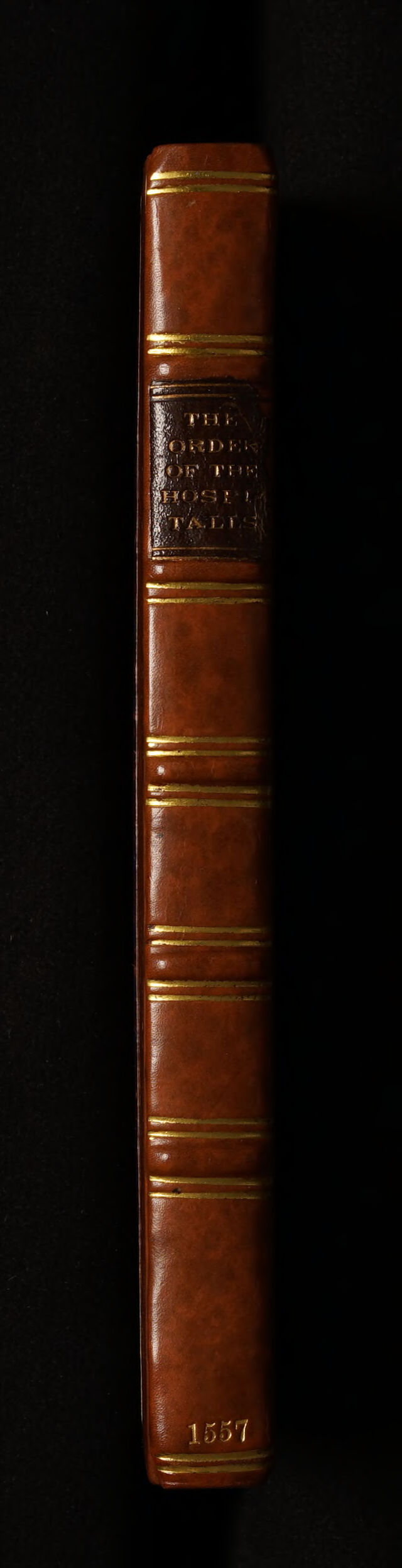 No text description is available for this image