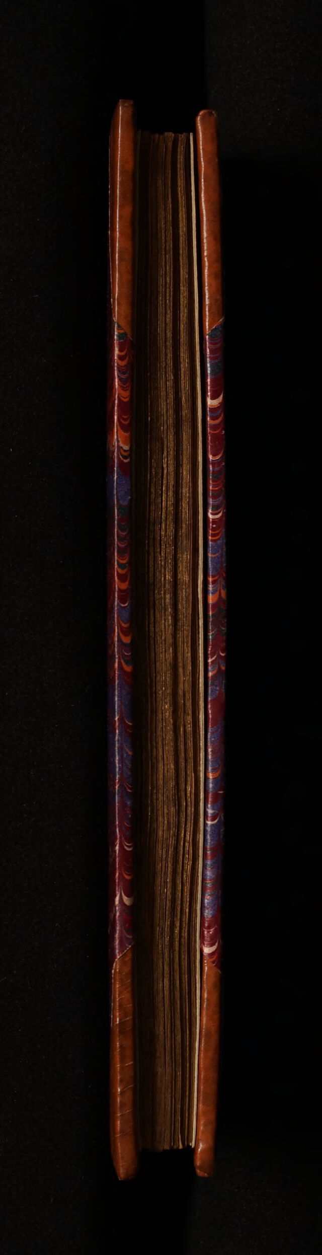 No text description is available for this image