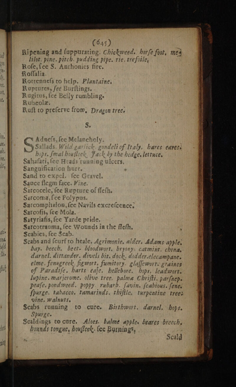 Ripening and fuppurating Chickweed. hor fe fost, mea lilot. pine. pitch. pudding pipe. rie, trefoile, Rofe, fee S. Anthonics fire. = bn lia Ss Teli of Italy hares eaves: [mal houfteer. Fack by the hedge, lettuce, Sa! ana e Heda: ning ulcers, RECS ion hure Sand tO exr do Sauce fleg gm Sarcocele, f Sarcoma, fee pus. Sarcompl iln: (ce Navils excreícei Sarcofis, fi fee Mola. Satyriafis, fee Yarde sride, Sarcotrauma, fee Wound Scabies, fee ^» Scab. Scabs and fci urf to heale, Agrimonie, alder. Adams apple. bay. beeci  beet blo rat LU fou catmint. china. o, dd der.elecampane. ek figwort. fumite ry glaffemort- graines . harts eaje. hellebore. hops. leadwort. jerome. olive tree. palma Chrifli. parfnep. fe. x hier poppy. rubarb. favin. fcabtous. fene. tabacco, tamarinds. thiftle. turpentine trees e. Von ni tf, i e o cure. Bithwort. darnel, hops. igs to cure, Aloes, dei apple. beares breech, 104) bus tongue, boufleek. (ec Burning’.