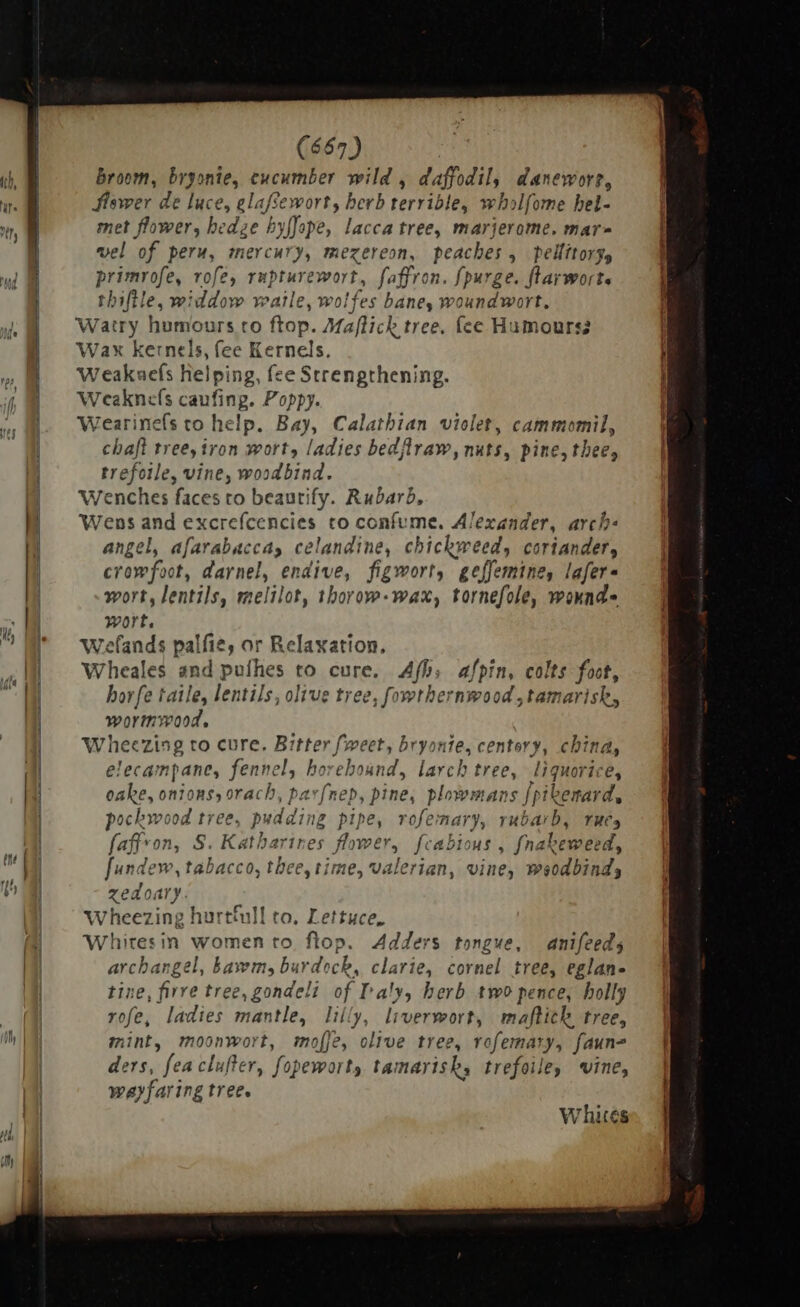 i: ud eem (667) broom, bryonie, cucumber wild , daffodil, daneworr, Jiswer de luce, elafsewort, herb terrible, wholfome hel- met flower, hedze byffope, lacca tree, marjerome. mara vel of peru, mercury, mezereon, peaches, pelfitorg, primrofe, rofe, rupturewort, faffron. fpurge. flarworts thiftle, widdow watle, wolfes bane, woundwort. Watry humours to ftop. Maflick tree. fee Humours Wax kernels, fee Kernels. Weakuefs helping, fee Strengthening. Weaknefs caufing. Poppy. Wearinefs to help. Bay, Calathian violet, cammomil, chaft tree, iron wort, ladies bedflraw, nuts, pine, thee, trefoile, vine, woodbind. Wenches faces to beaurify. Rubarb, Wens and excrefcencies to confvme. Alexander, arch: angel, afarabaccas celandine, chickweed, coriander, crowfoot, darnel, endive, figwort, geffemine, lafers wort, lentils, melilot, thorow-wax, tornefole, winunde wort. Wefands palfie, or Relaxation, Wheales and pufhes to cure. Afh, afpin, colts foot, borfe taile, lentils, olive tree, fowthernwood, tamarisk, wormwood, Wheezing to cure. Bitter fweet, bryonte, centory, china, elecampane, fennel, borebound, larch tree, liquorice, oake, onions, orach, pavfnep, pine, plowmans {pikenard, pockwood tree, pudding pipe, rofemary, rubarb, rues faffvon, S. Katharines flower, fcabious , fnabeweed, fundew, tabacco, thee, time, valerian, vine, weodbind, zedoary. Wheezing hurtfull to. Lettuce, Whiresin women to flop. Adders tongue, anifeeds archangel, bawmy burdock, clarie, cornel tree, eglan- tine, firre tree, gondeli of Pa!y, herb two pence, holly rofe, ladies mantle, lilly, liverwort, maflich tree, mint, moonwort, moffe, olive tree, rofemary, faun- ders, feaclufter, fopeworty tamarisk, trefoile, vine, wayfaring tree. Whites