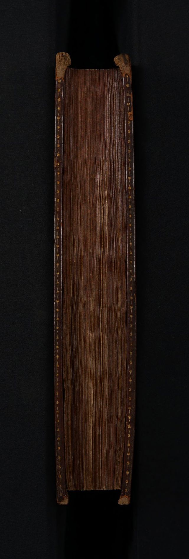 digitised image 3